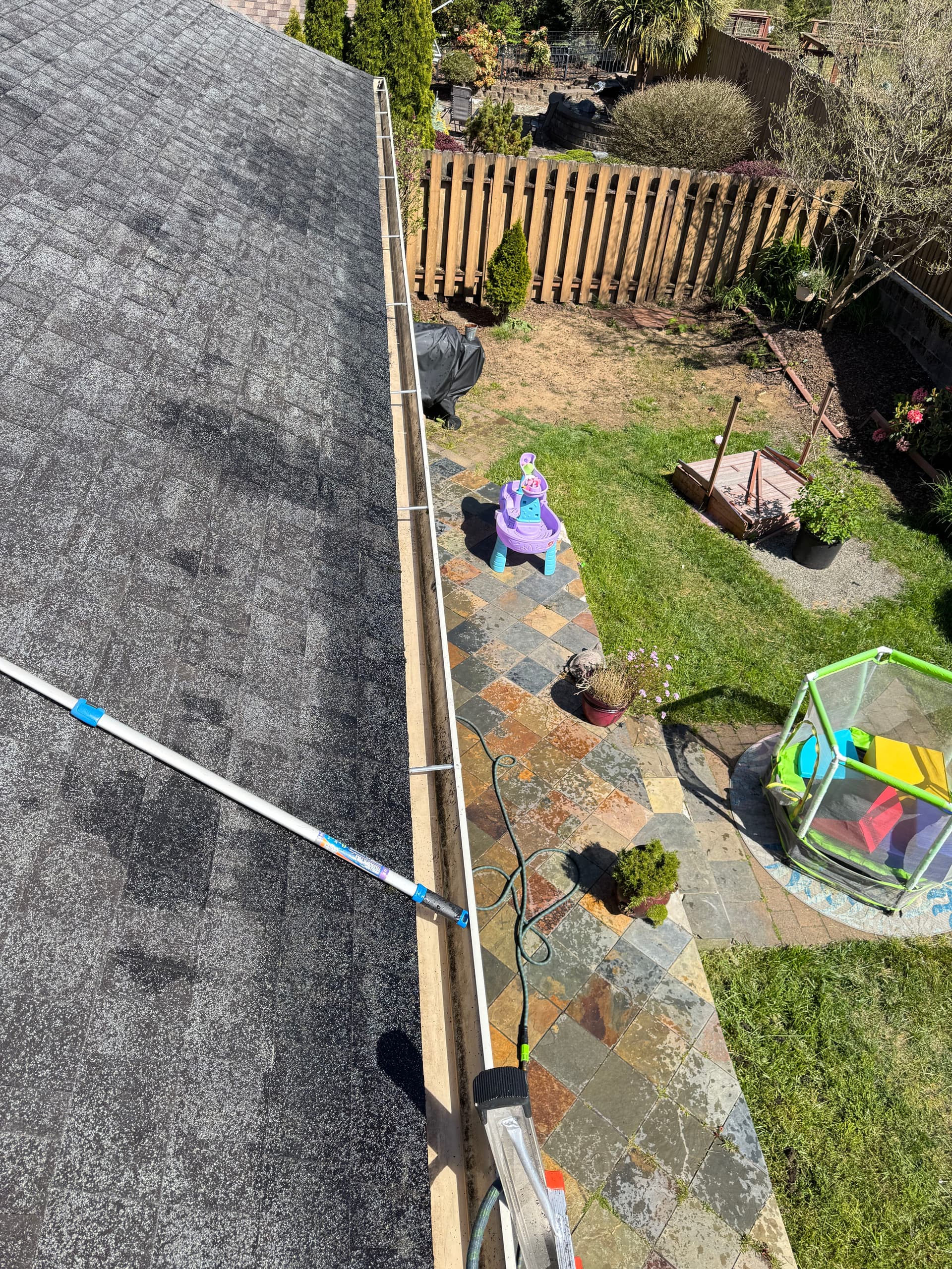 Gallery photos for Coastal Home Roof Moss Removal and Gutter Cleaning Gone Wild: Image #5