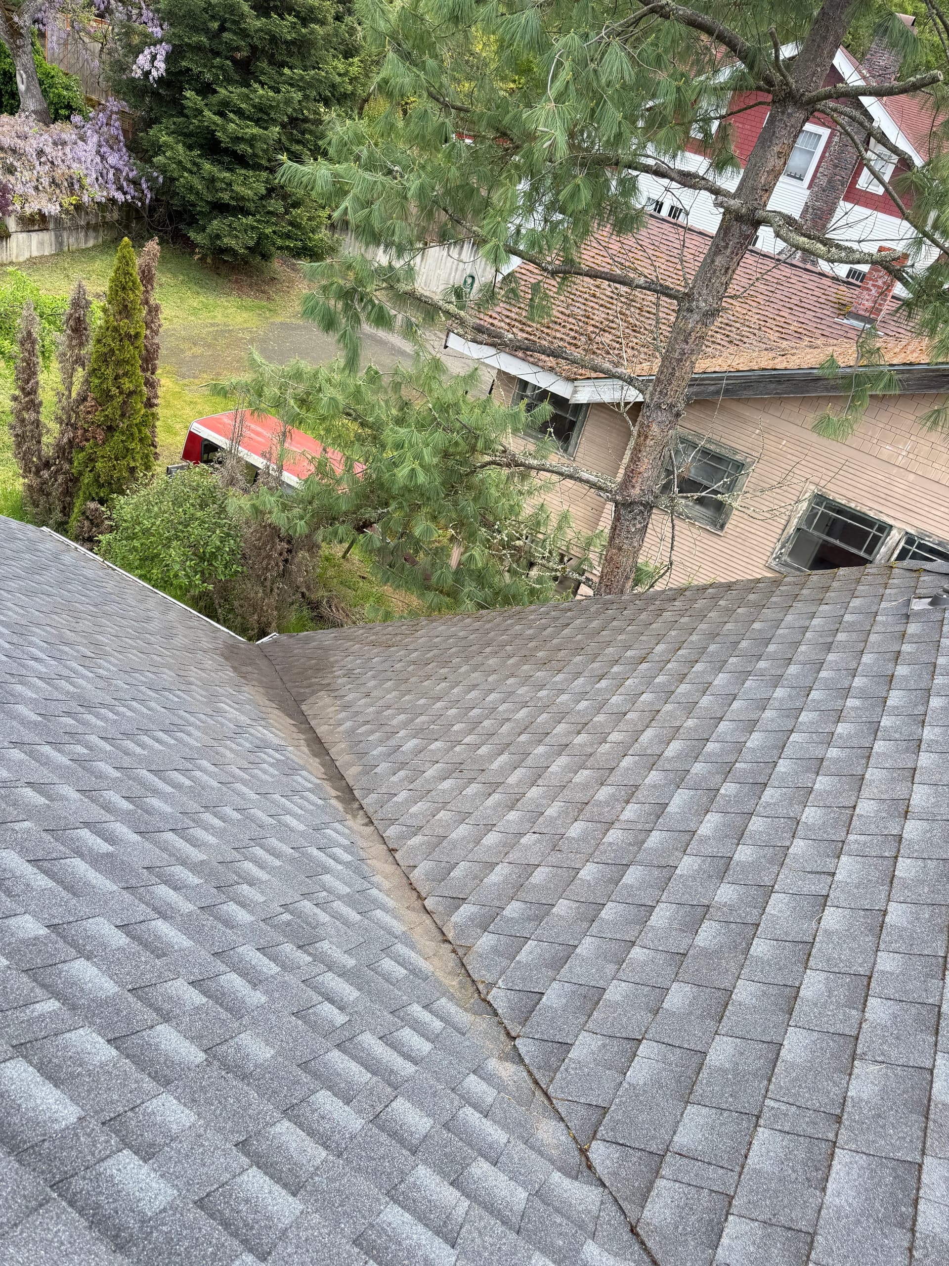 Gallery photos for Pine Needle and Moss Buildup Cleared Off This Asphalt Shingle Roof: Image #5