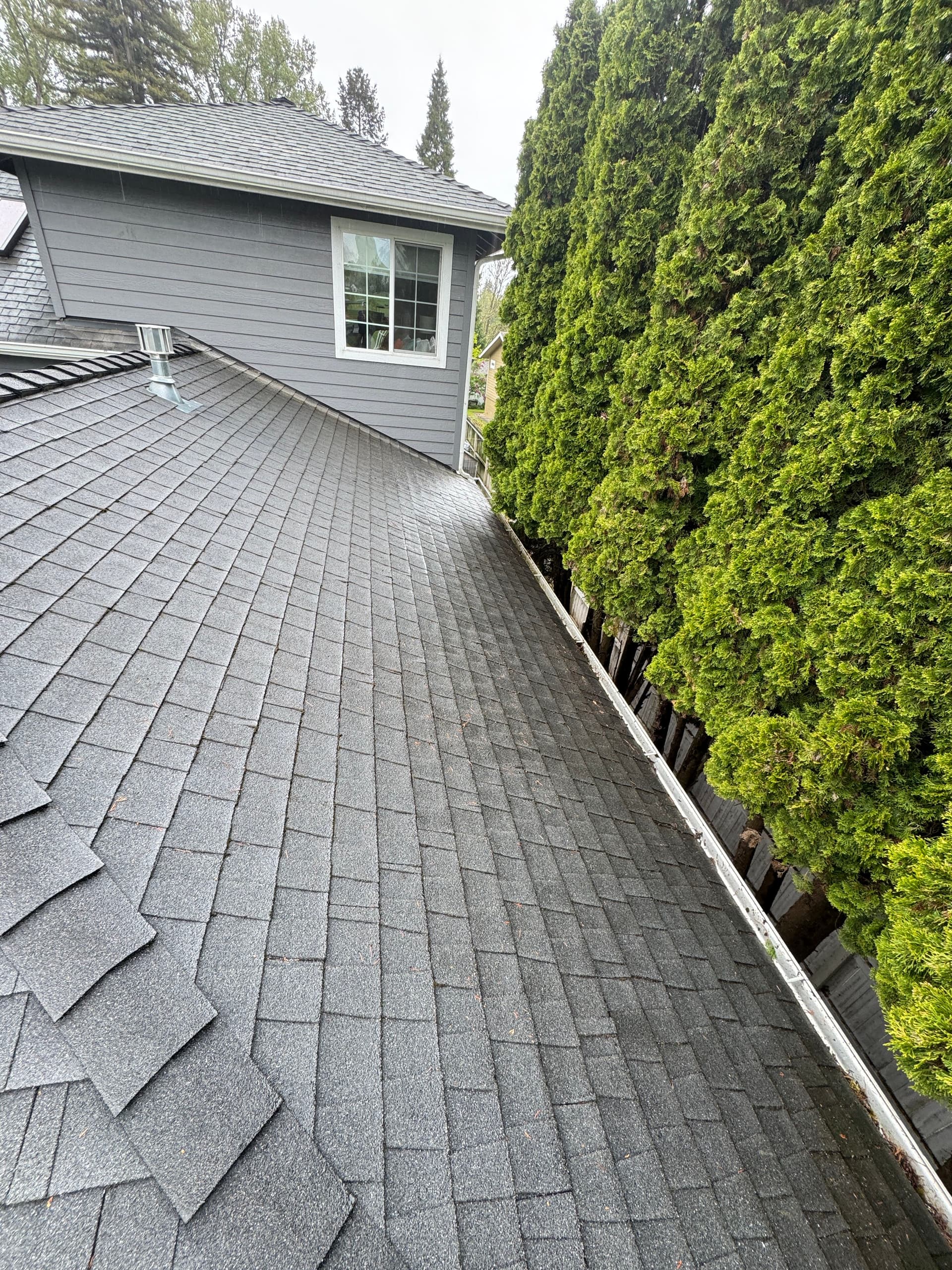 Gallery photos for Roof Moss Removal and Treatment on an Oregon Home: Image #4