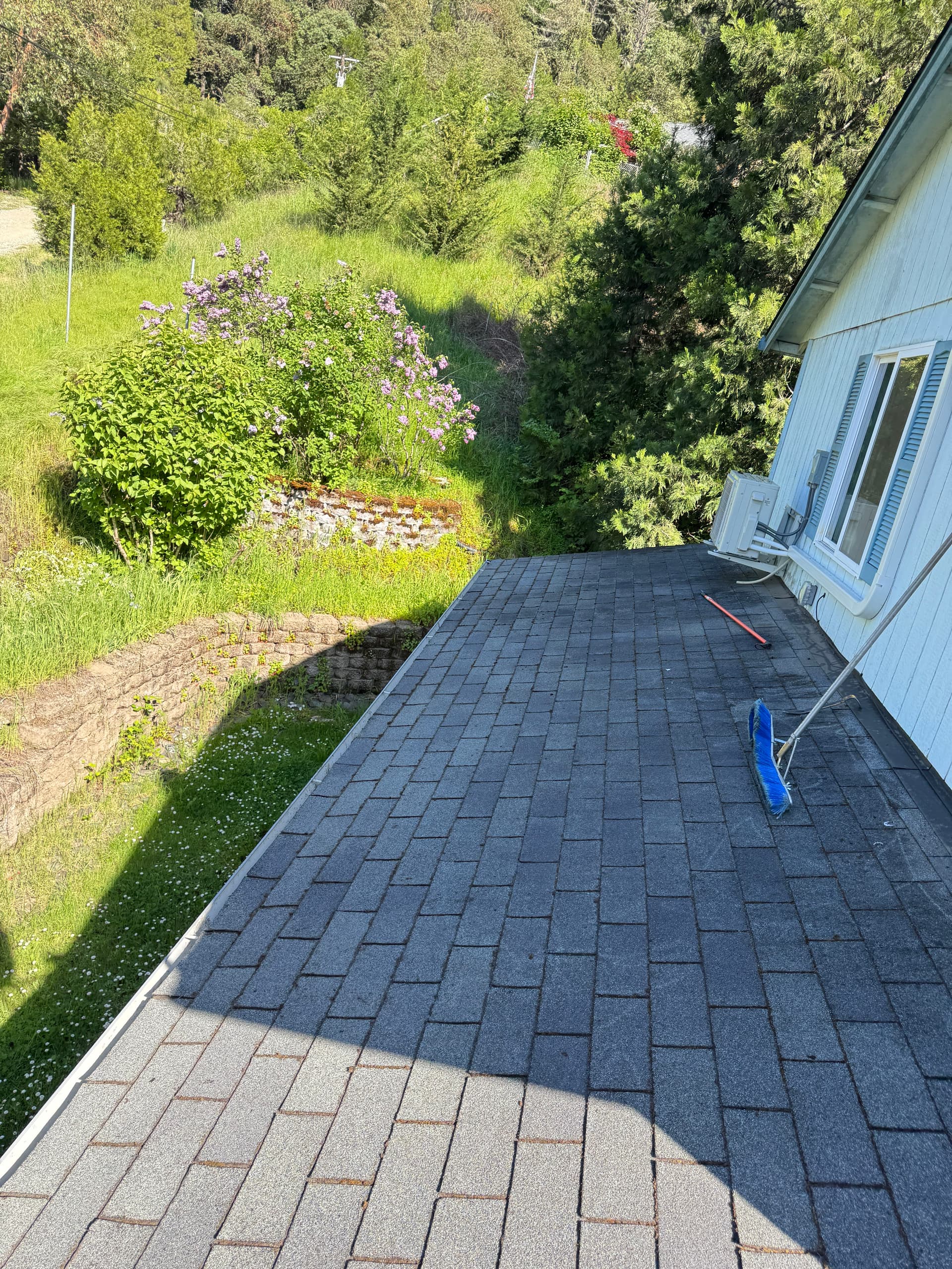 Gallery photos for Heavy Moss Takeover on a 2-Story Roof - Completely Cleared: Image #8