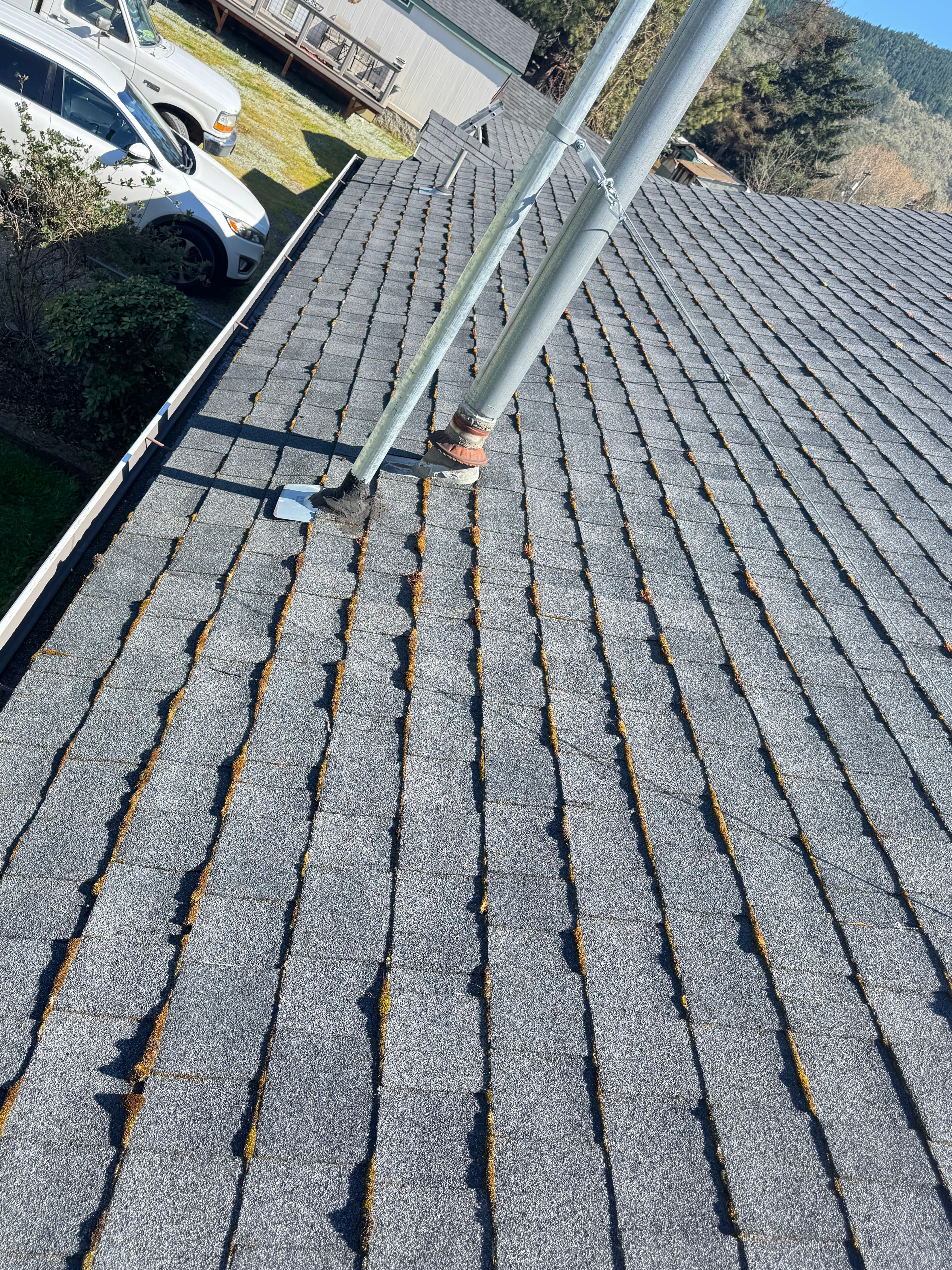 Project Roof and Gutter Care: Tackling Moss and Debris image