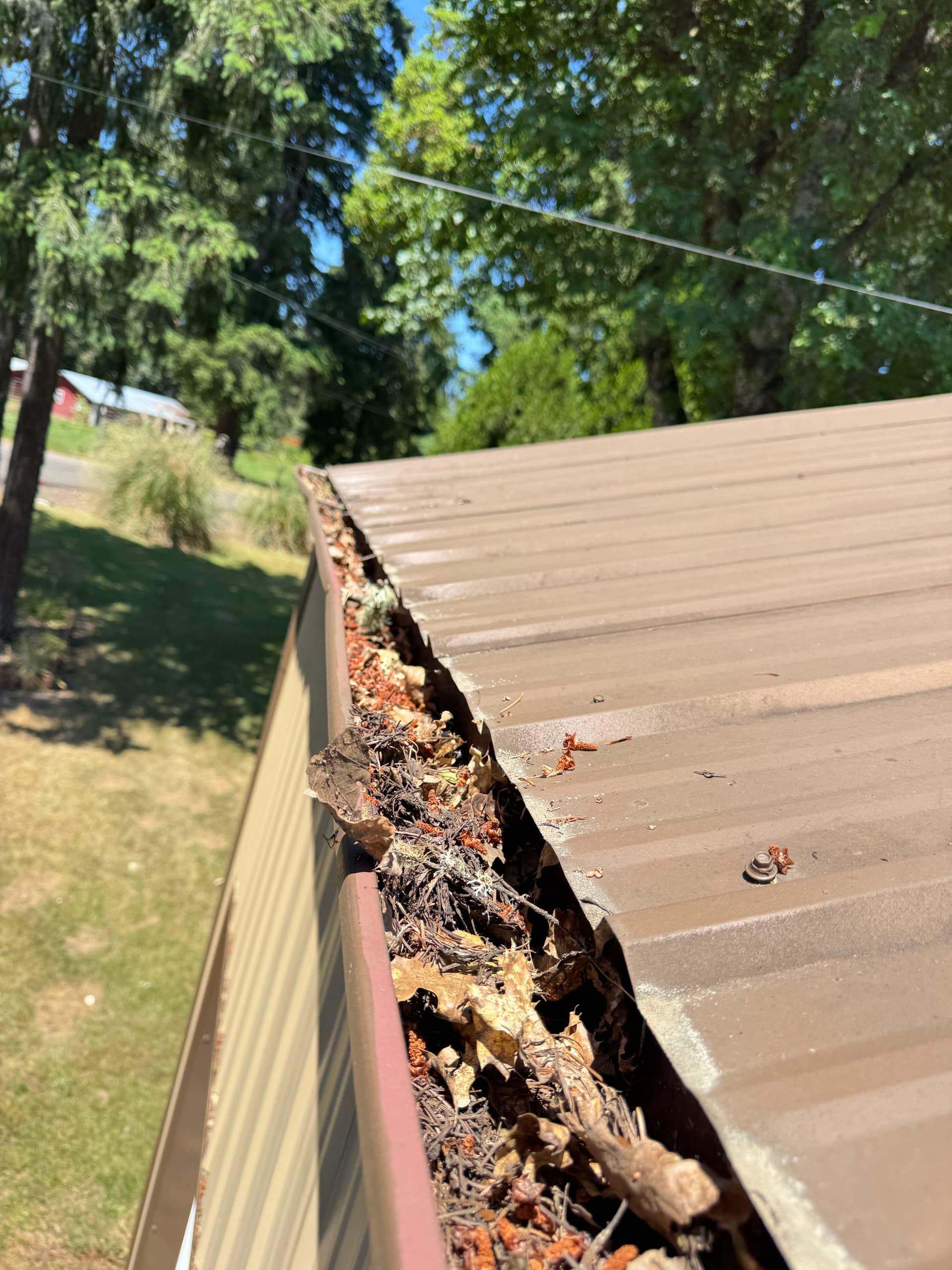 Roof Moss Treatment and Gutter Cleaning on a House and Shop image