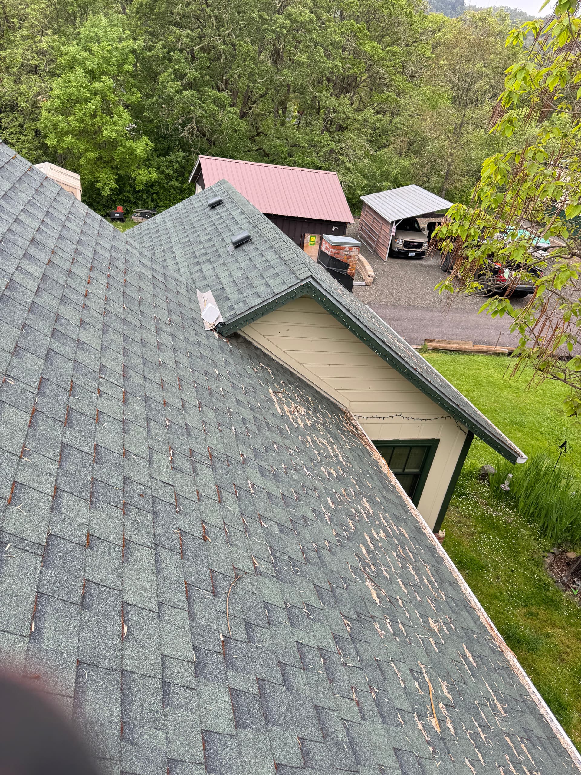Steep Roof Moss Removal on a Smaller Home - Big Results image