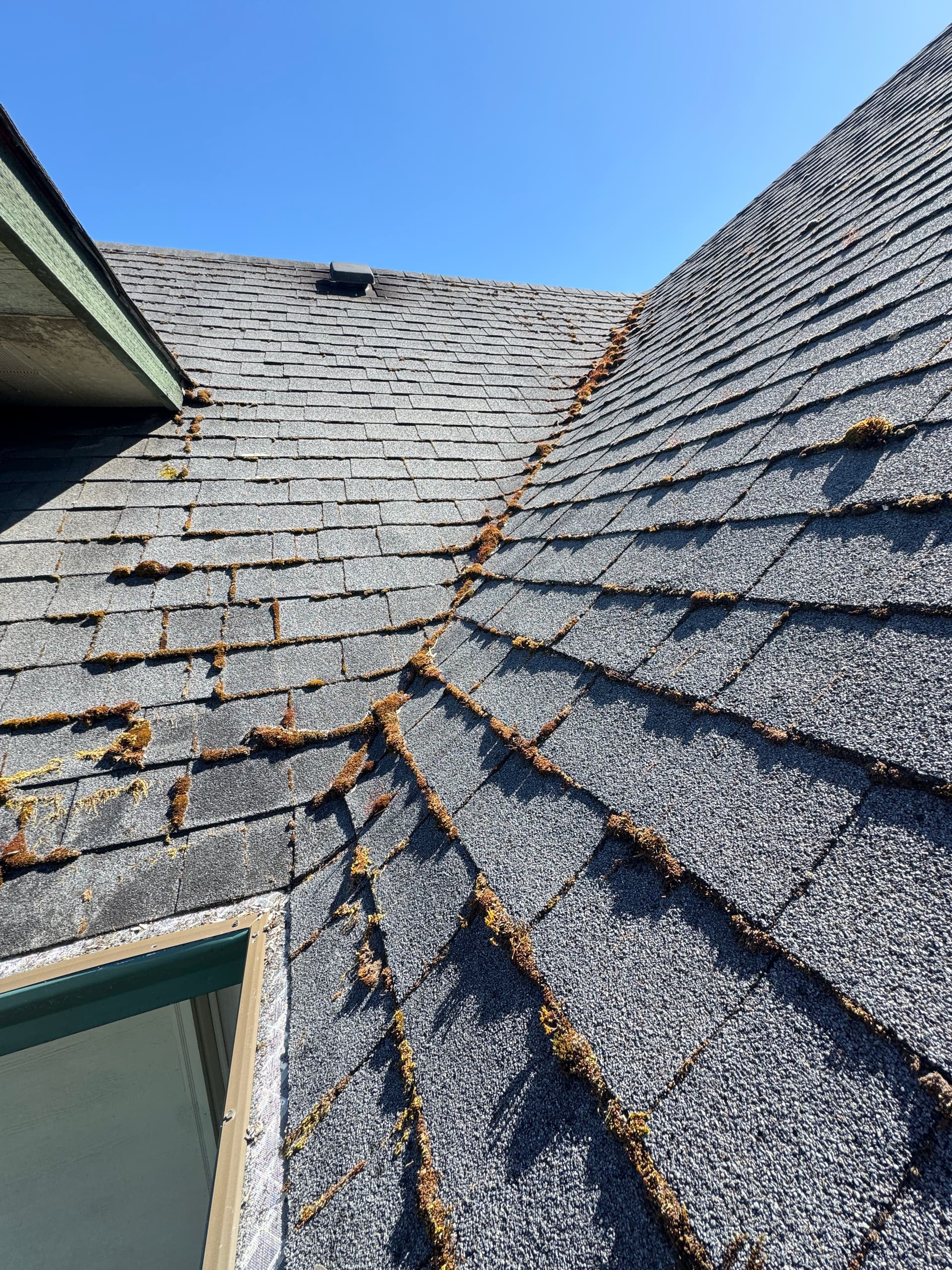 Gallery photos for One of the Gnarliest Roofs We've Tackled - Full Moss Removal: Image #1