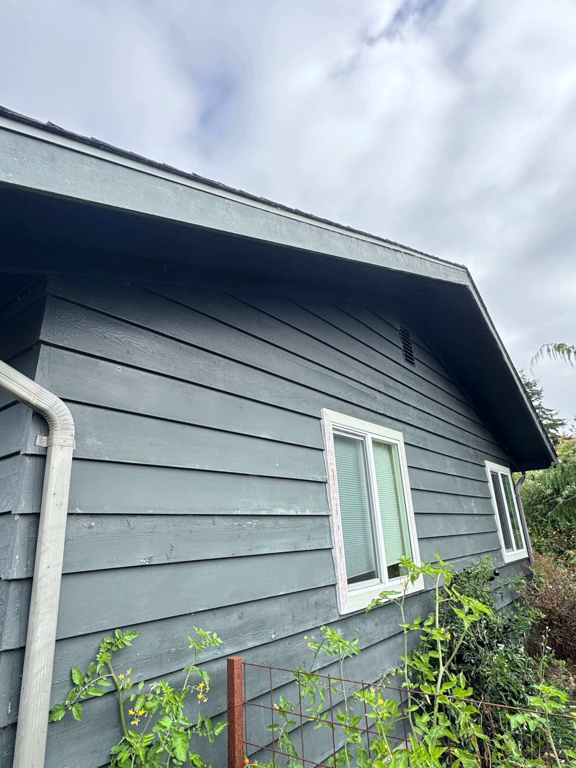 Gallery photos for Gutters Cleaned, Windows Washed, Whole House Freshened Up: Image #3
