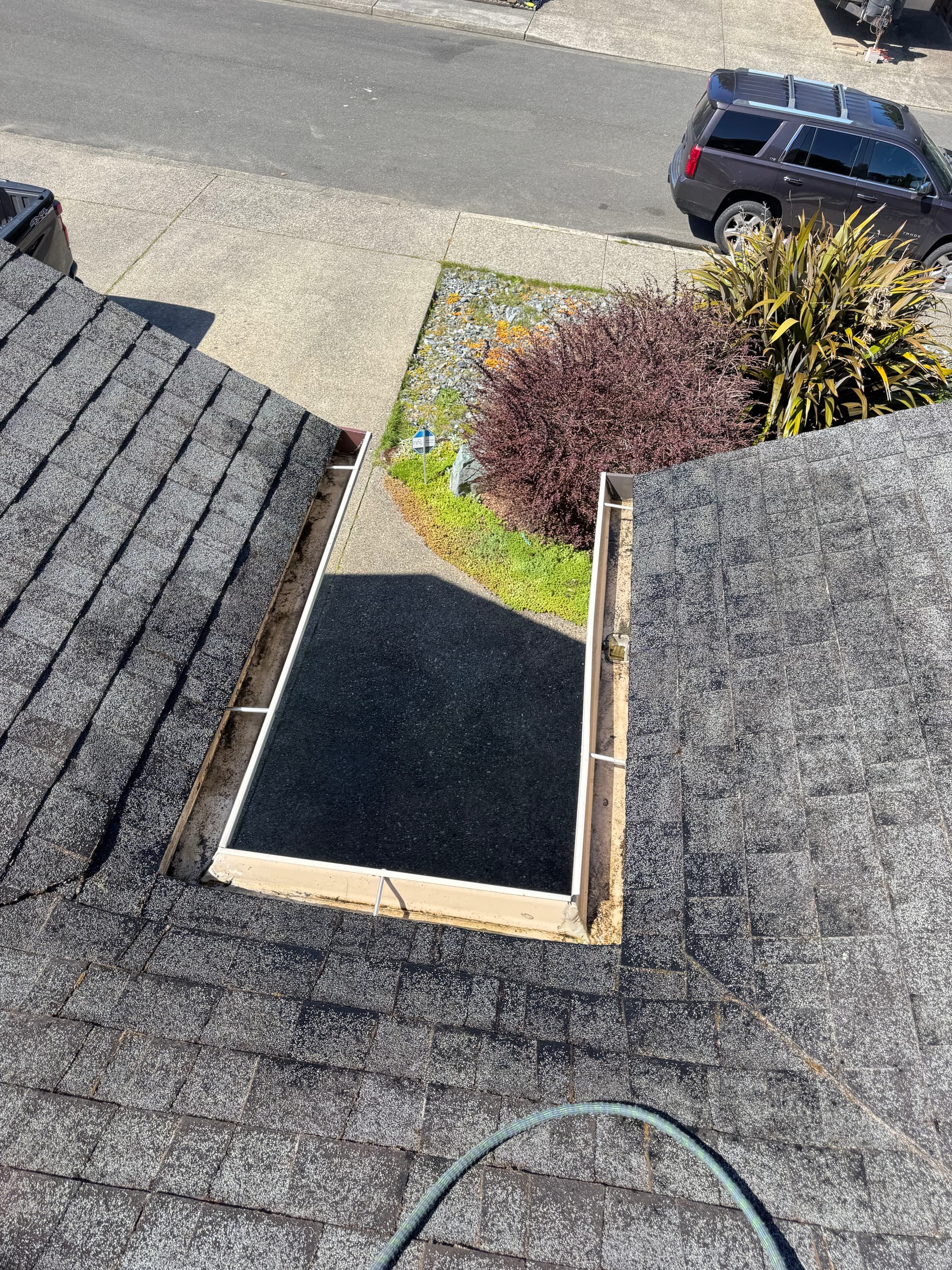 Gallery photos for Coastal Home Roof Moss Removal and Gutter Cleaning Gone Wild: Image #8