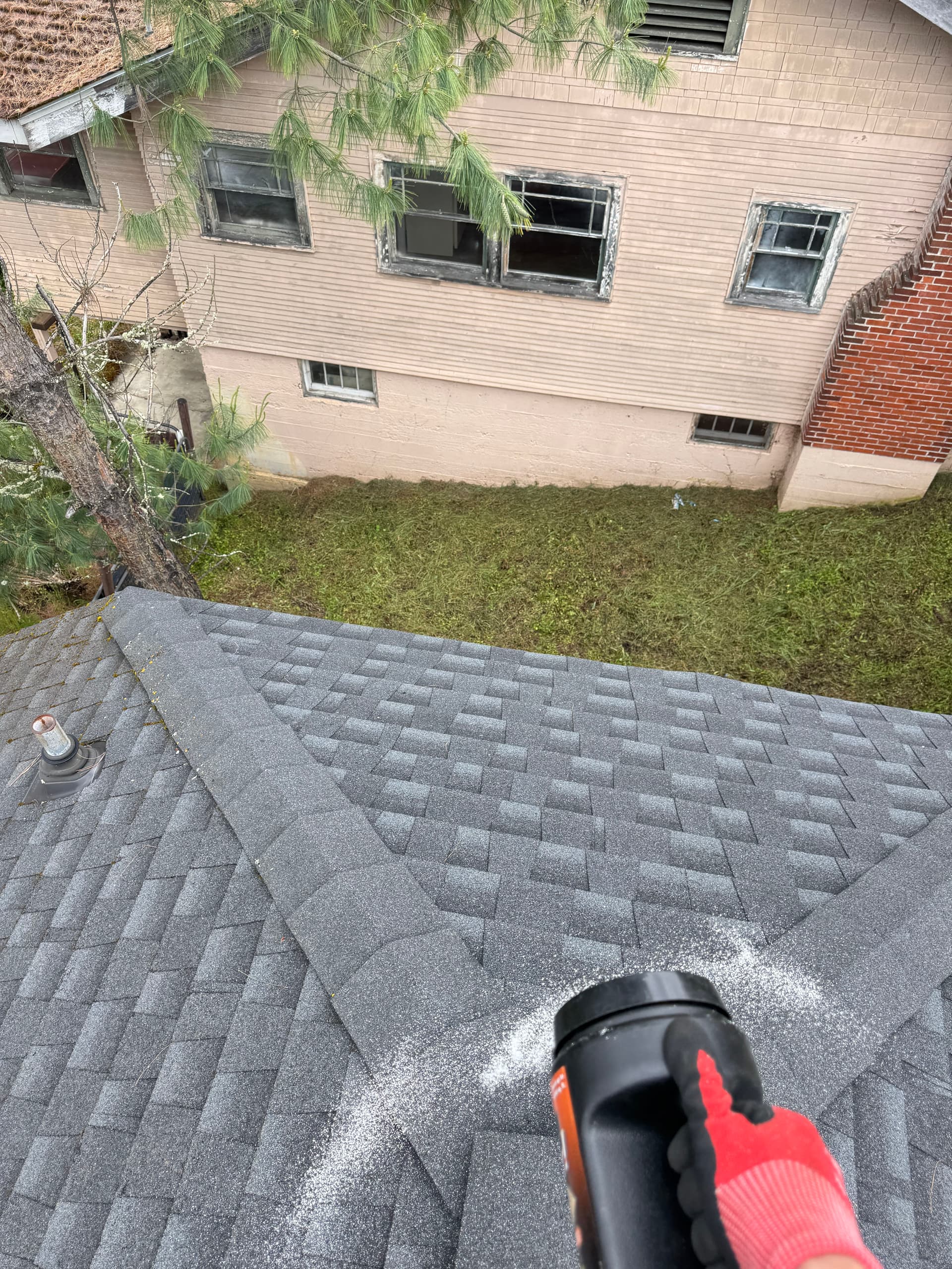 Gallery photos for Pine Needle and Moss Buildup Cleared Off This Asphalt Shingle Roof: Image #6