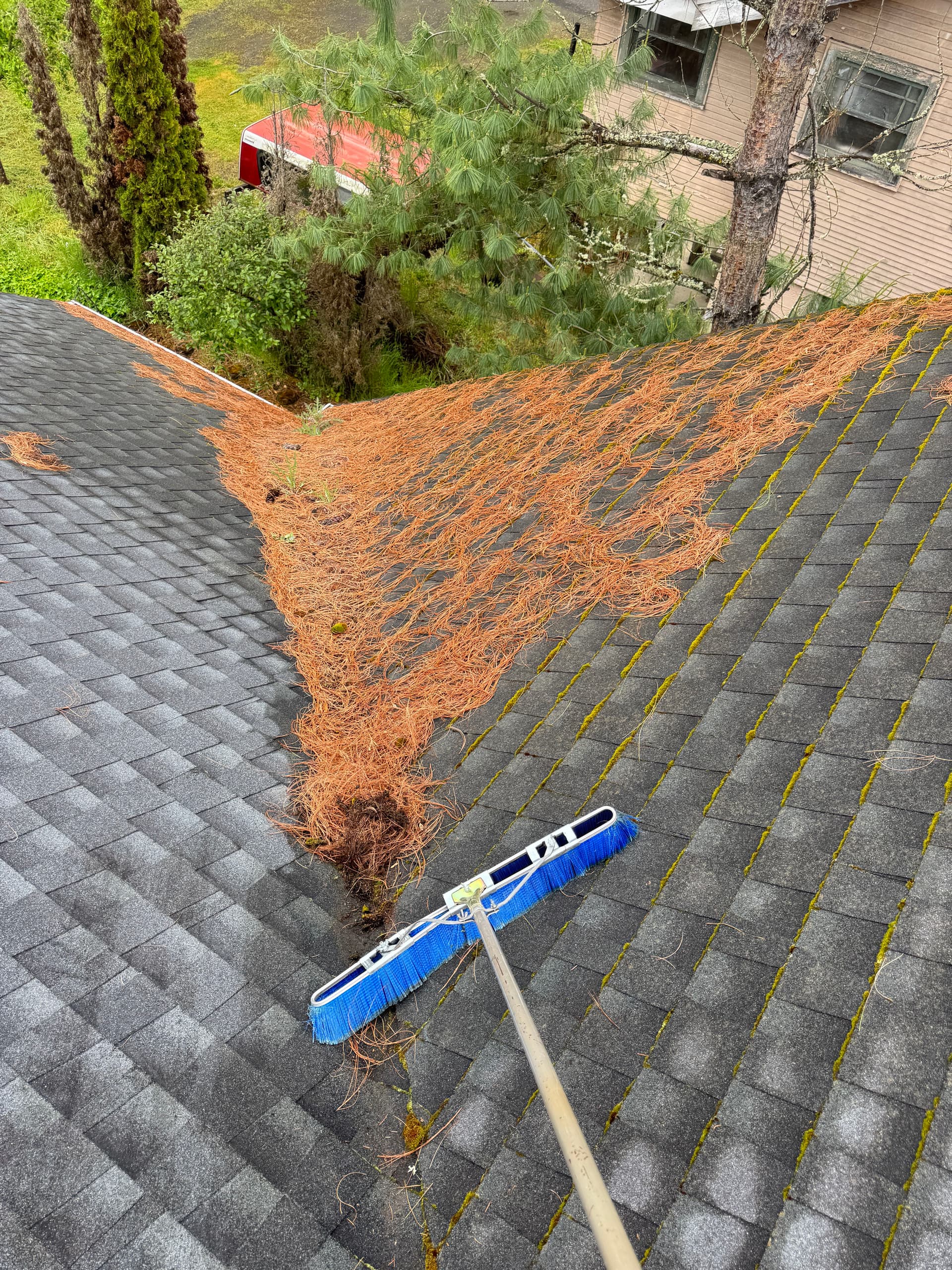 Gallery photos for Pine Needle and Moss Buildup Cleared Off This Asphalt Shingle Roof: Image #2