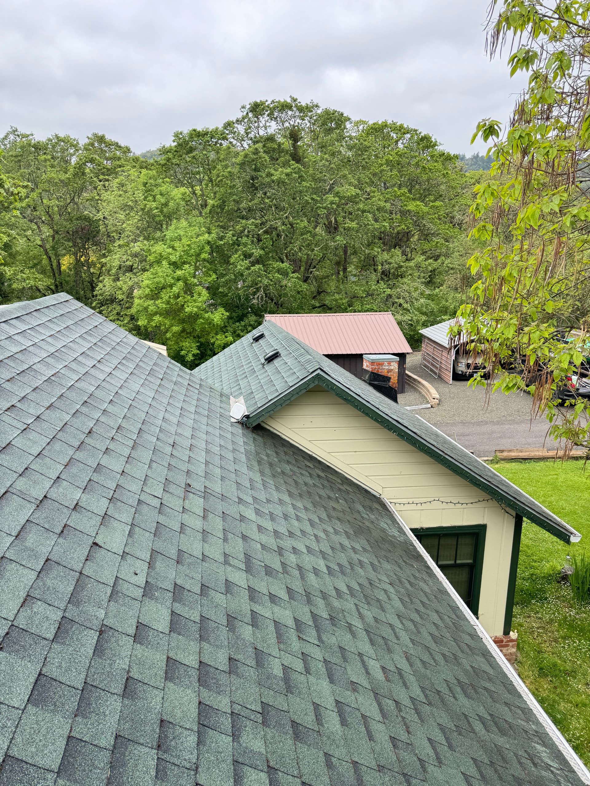 Gallery photos for Steep Roof Moss Removal on a Smaller Home - Big Results: Image #1