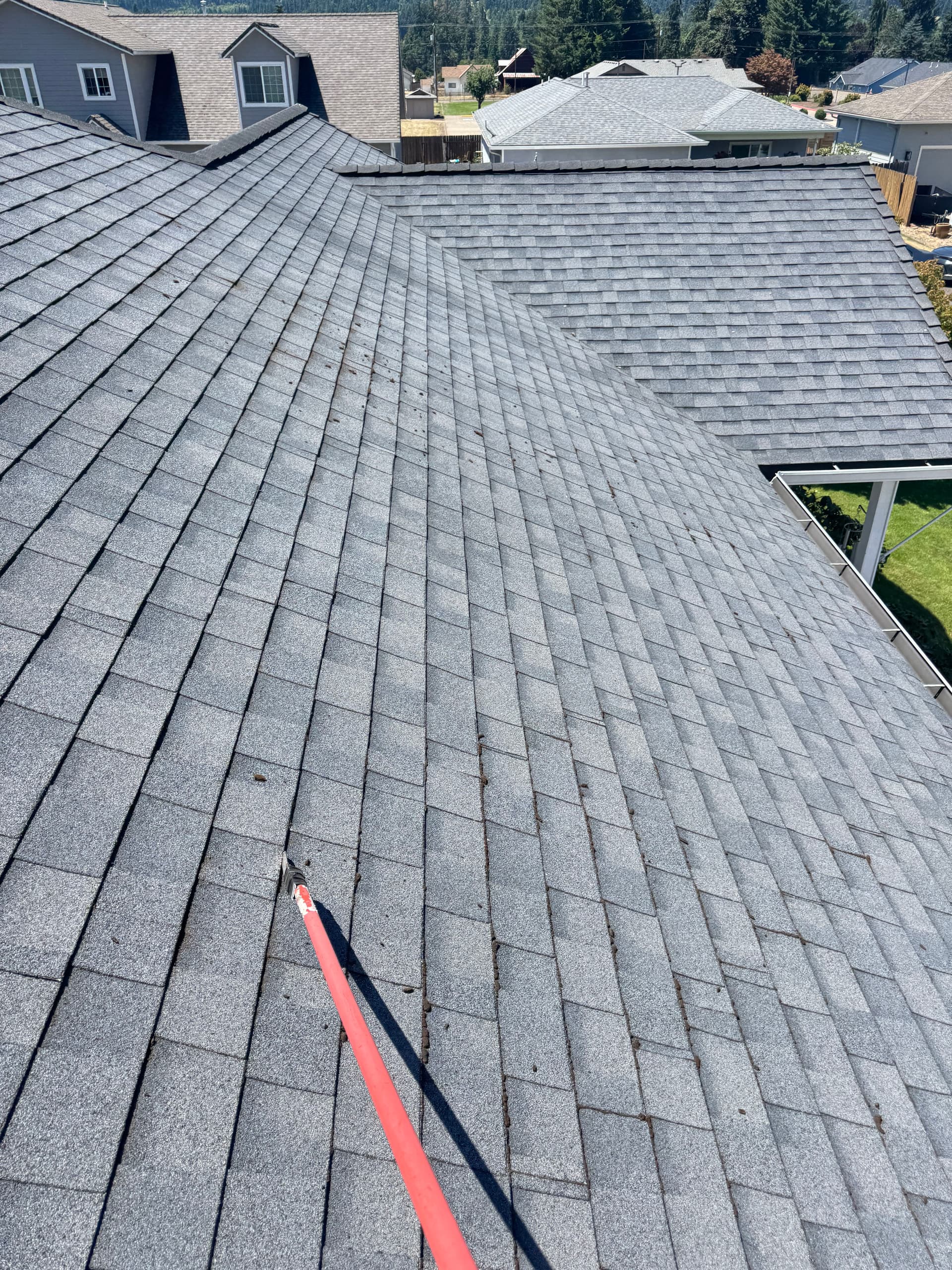 Gallery photos for Window Cleaning and Roof Moss Removal in Cottage Grove: Image #5