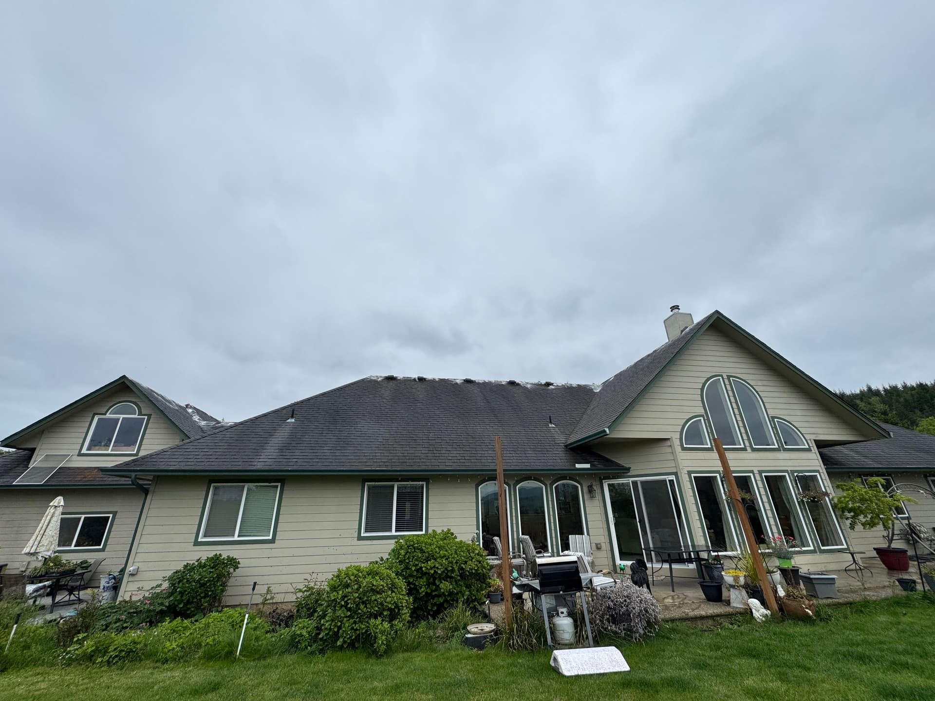 Gallery photos for One of the Gnarliest Roofs We've Tackled - Full Moss Removal: Image #6
