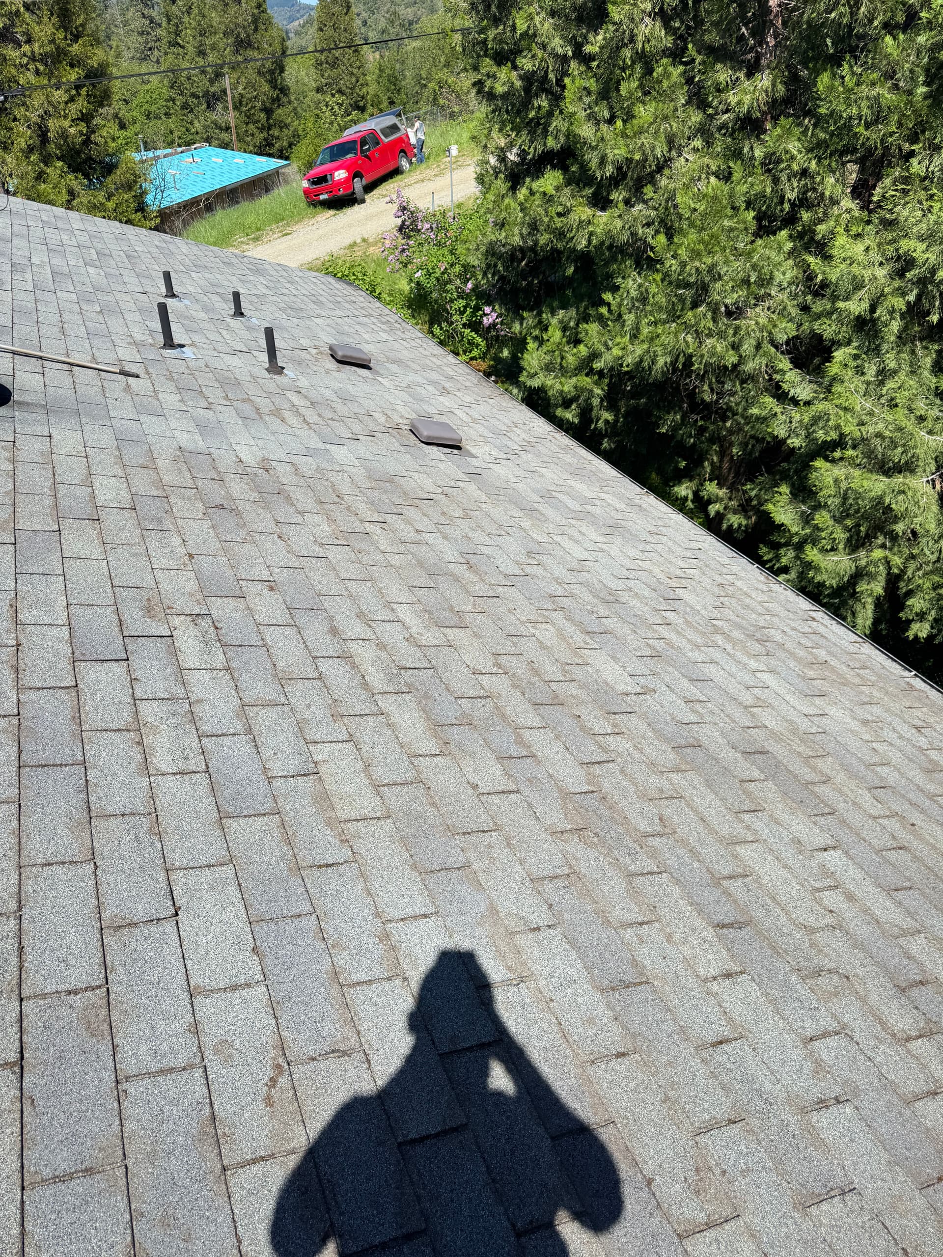 Gallery photos for Heavy Moss Takeover on a 2-Story Roof - Completely Cleared: Image #6