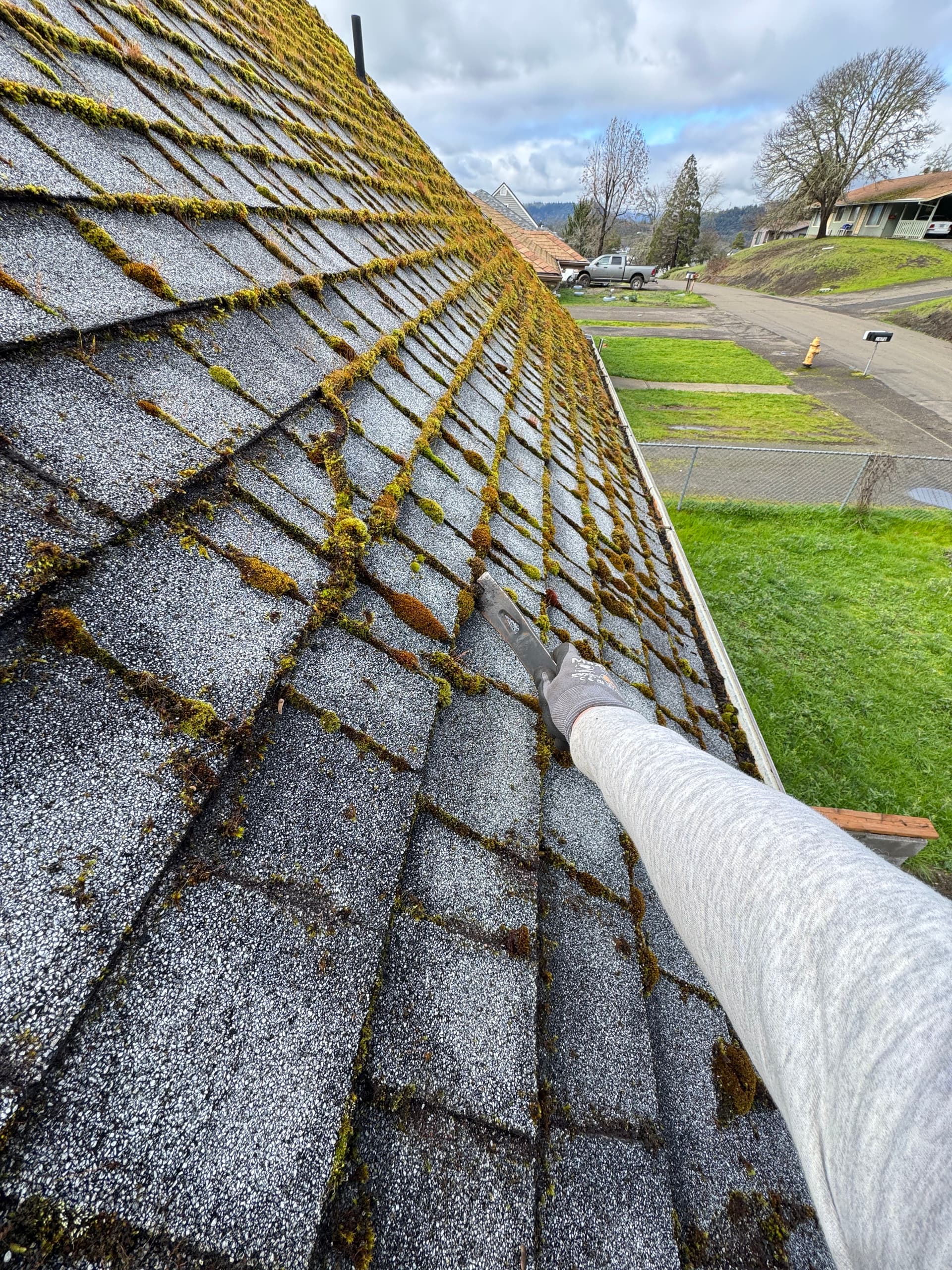 Roof Moss Removal and Gutter Cleaning on a Steep Roof