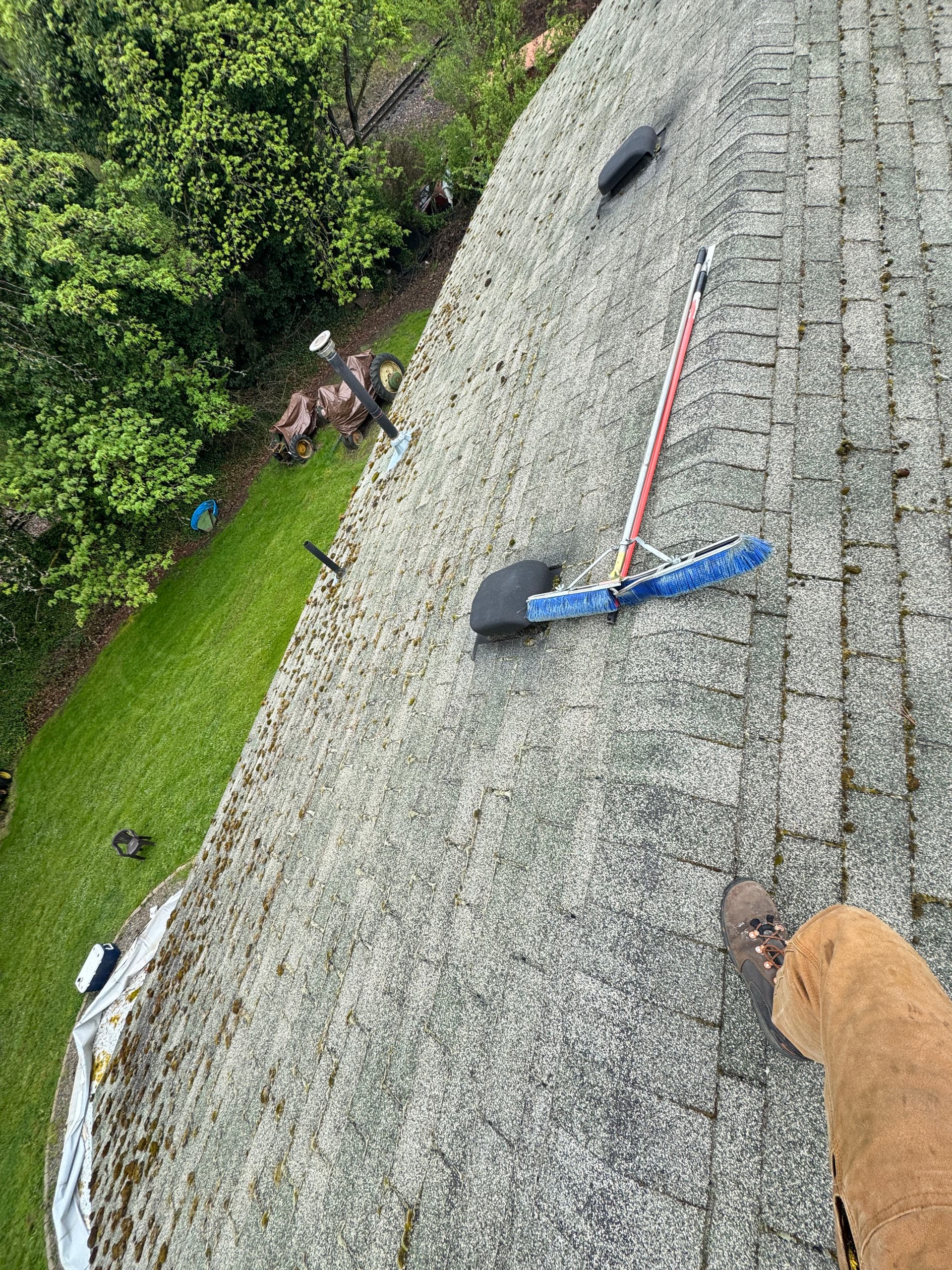 Roof Moss Removal and Treatment Success