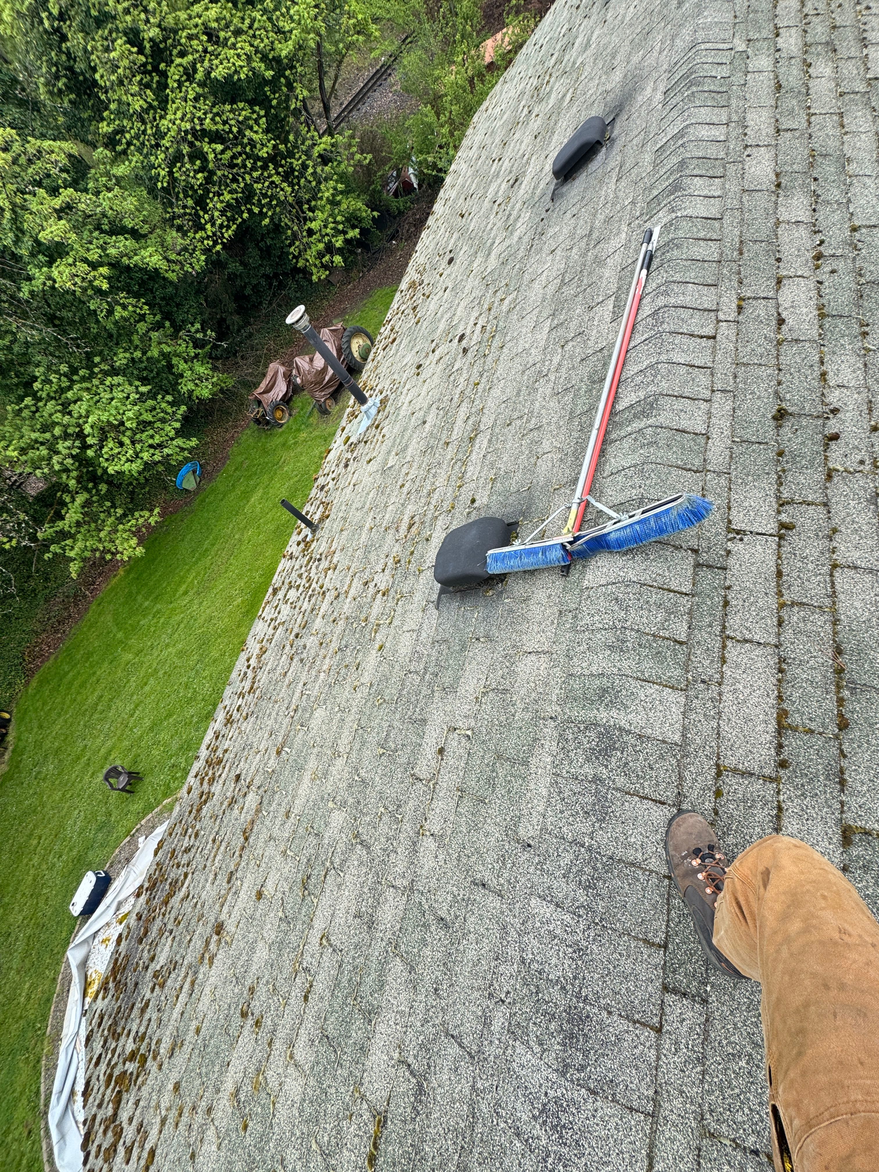 Project Roof Moss Removal and Treatment Success image