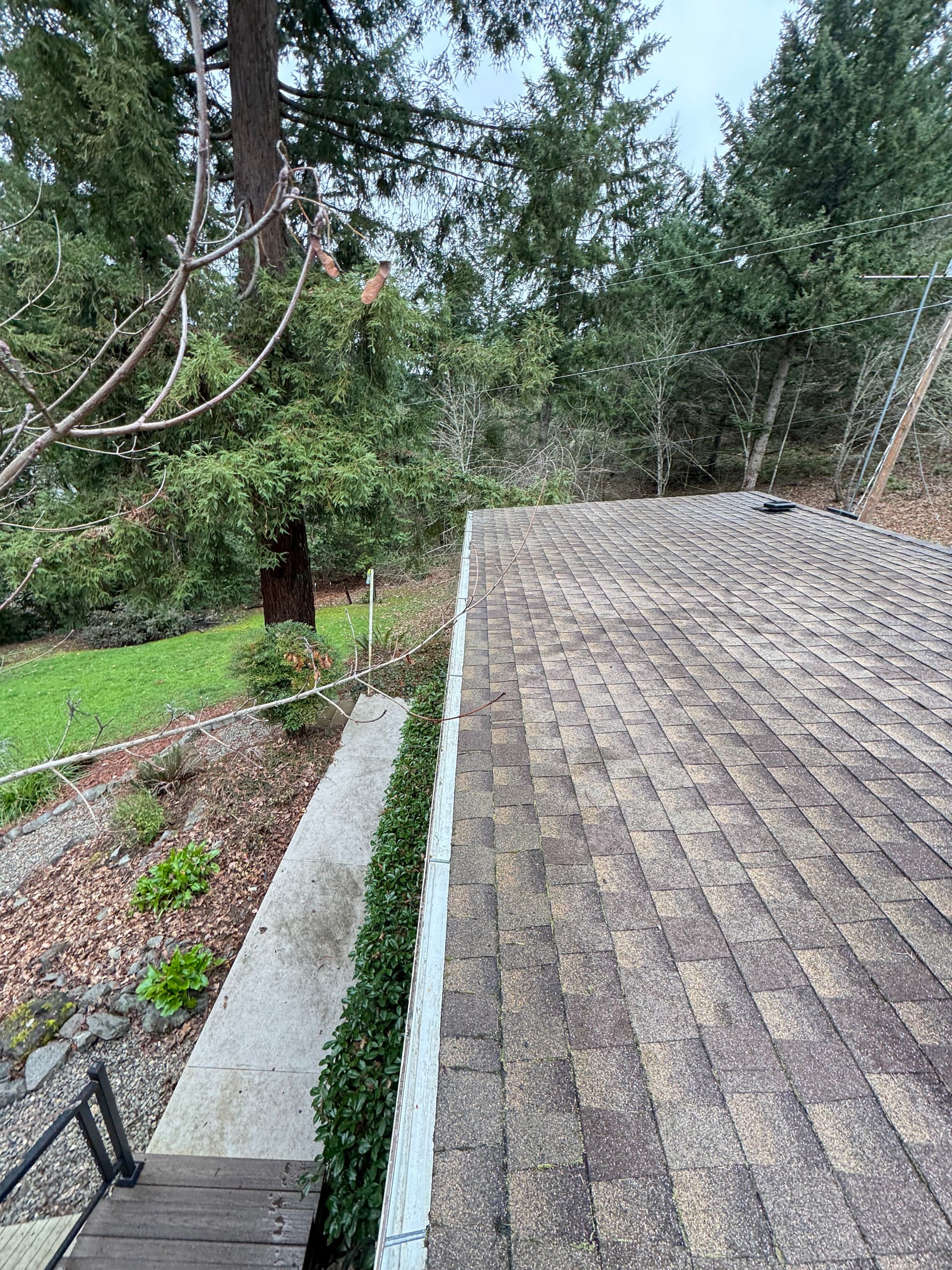 Gallery photos for Roof Moss Removal and Gutter Cleaning: Image #4