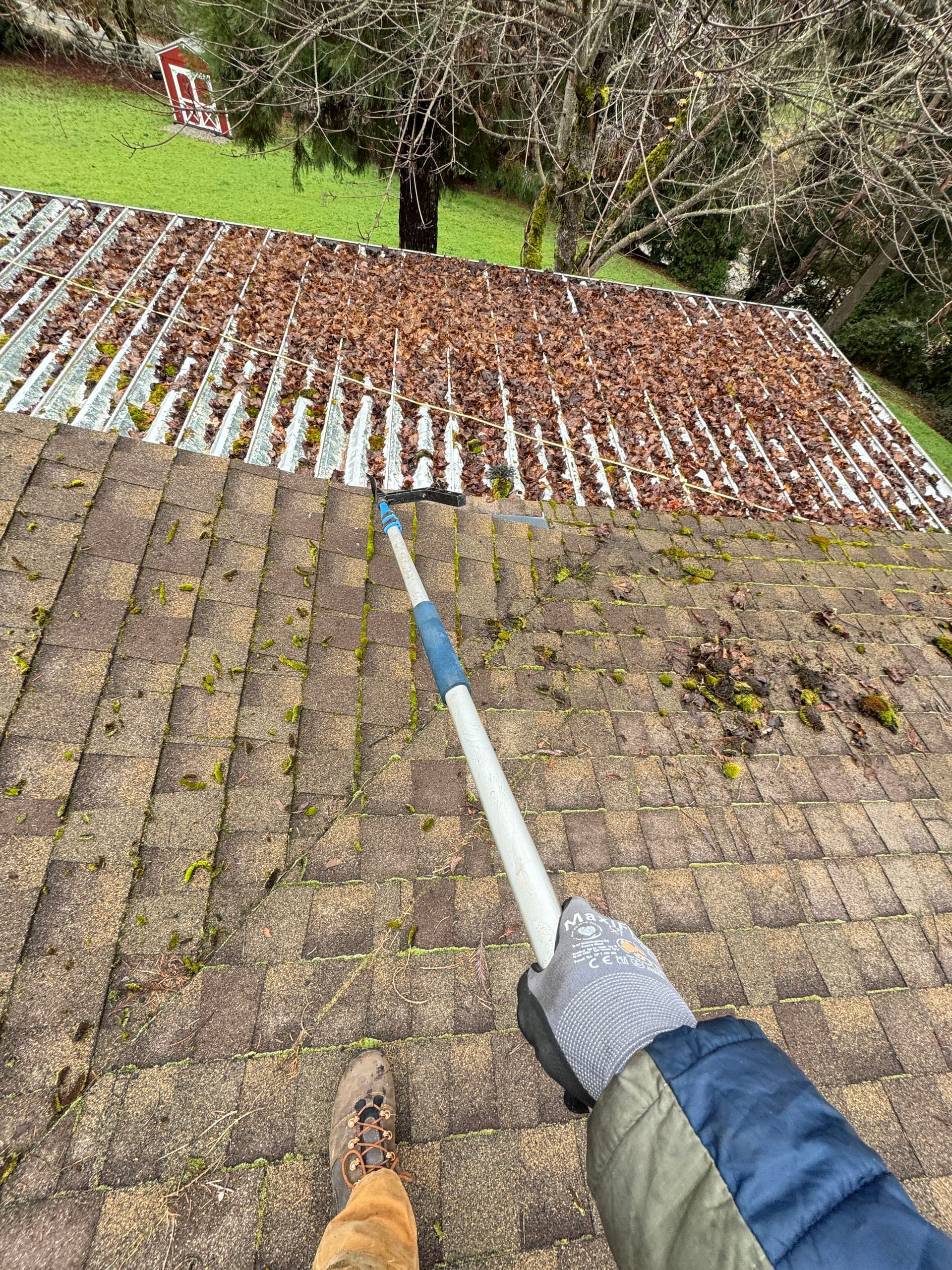 Roof Moss Removal and Gutter Cleaning