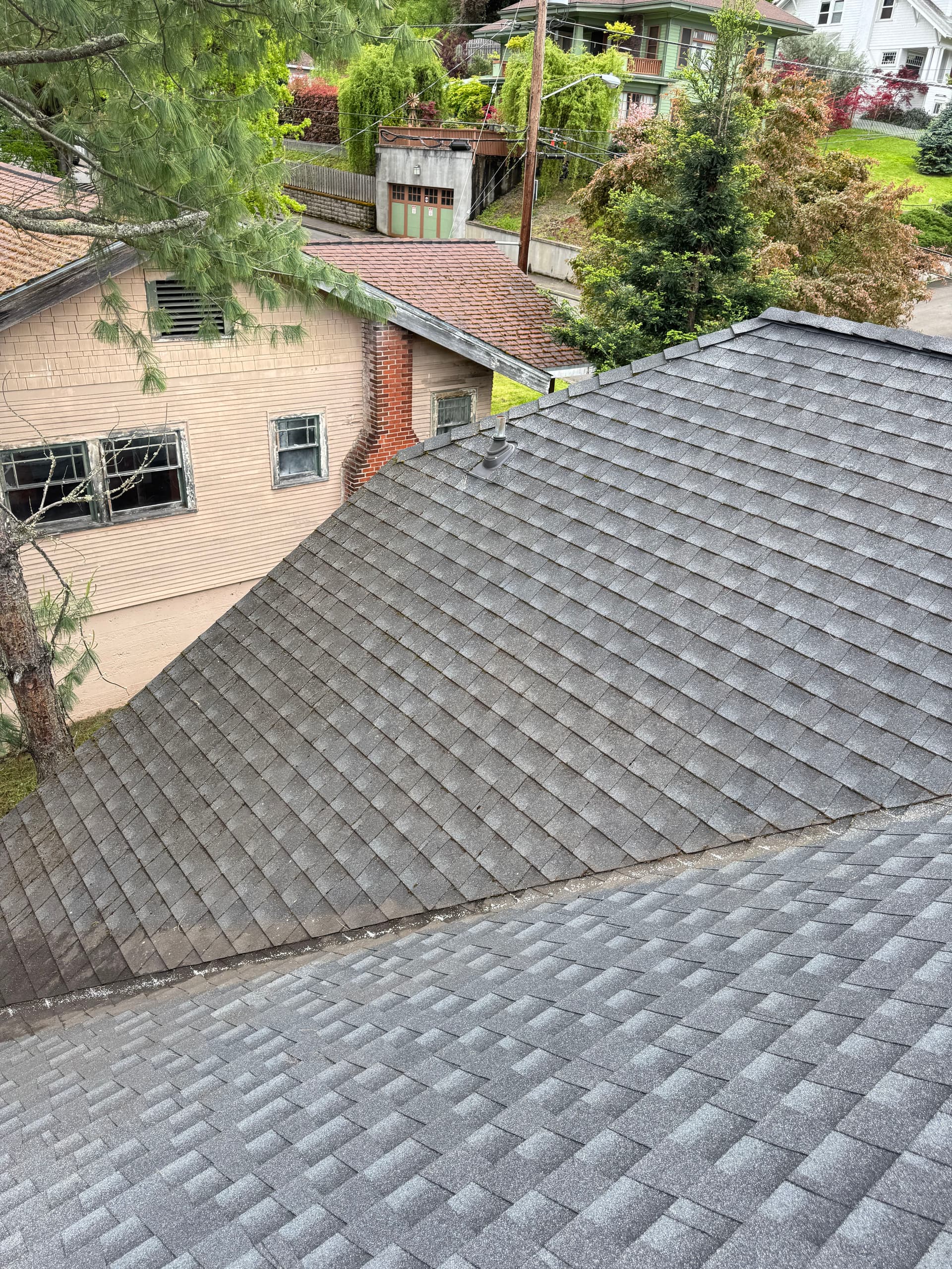 Gallery photos for Pine Needle and Moss Buildup Cleared Off This Asphalt Shingle Roof: Image #4