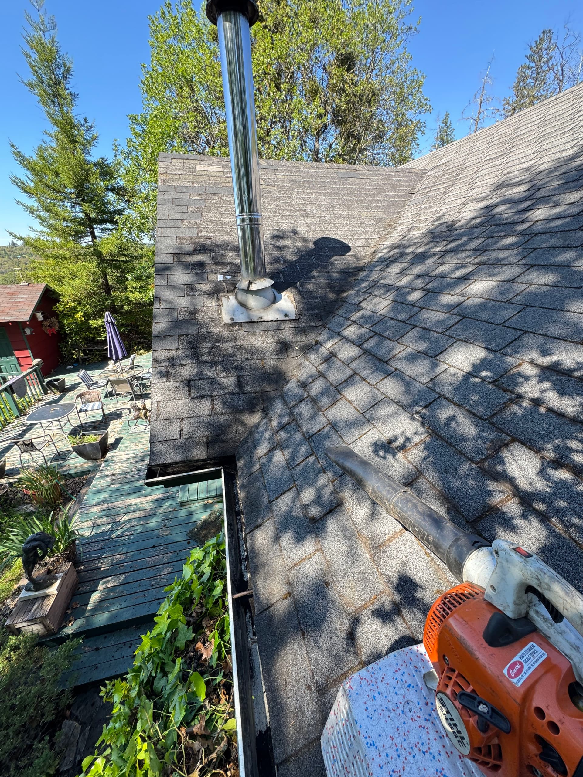 Gallery photos for Heavy Moss and Debris Removal on a Heavily Wooded Property: Image #5