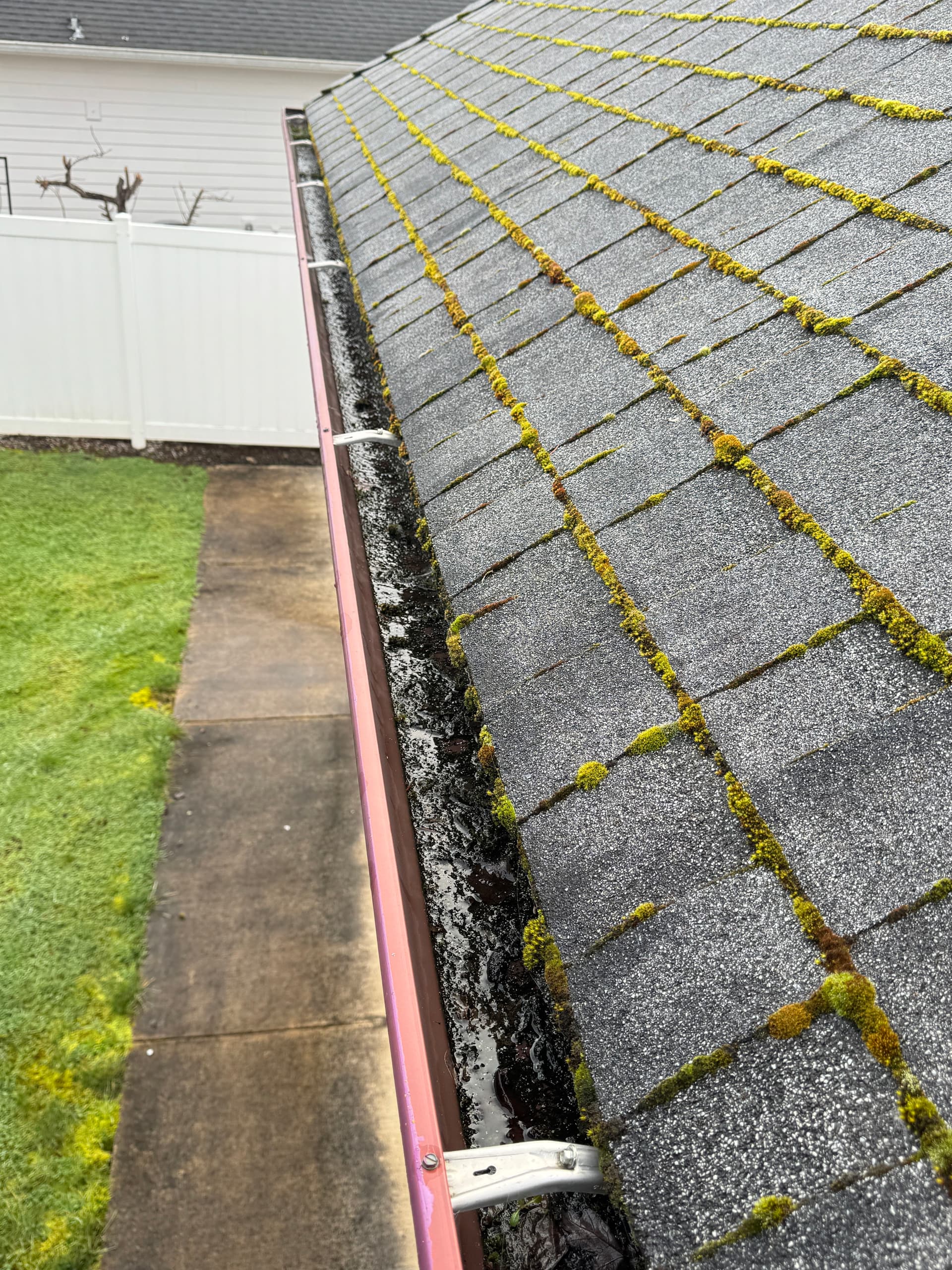 Roof Moss Removal and Gutter Cleaning