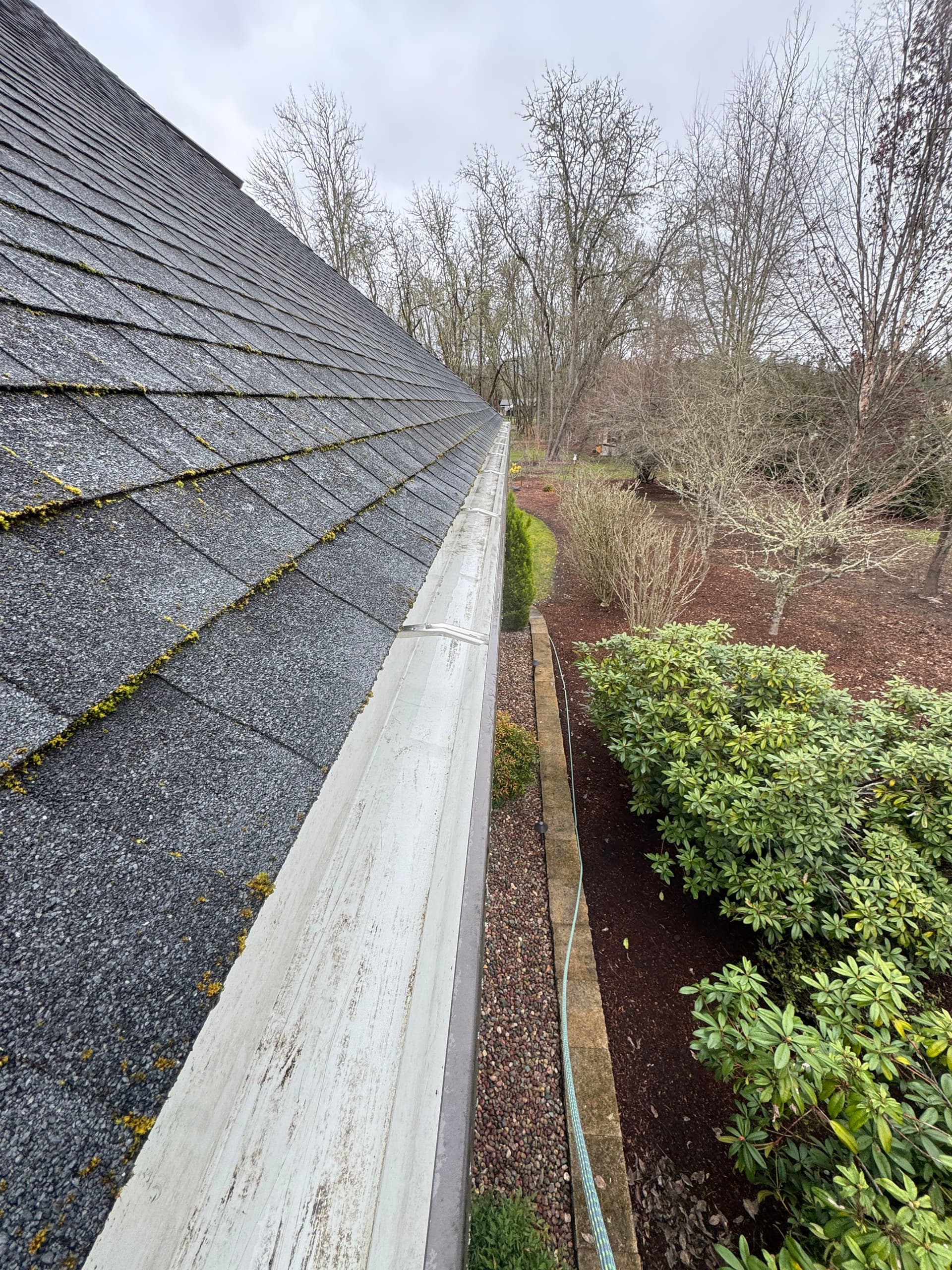 Thorough Roof and Gutter Cleaning Excellence