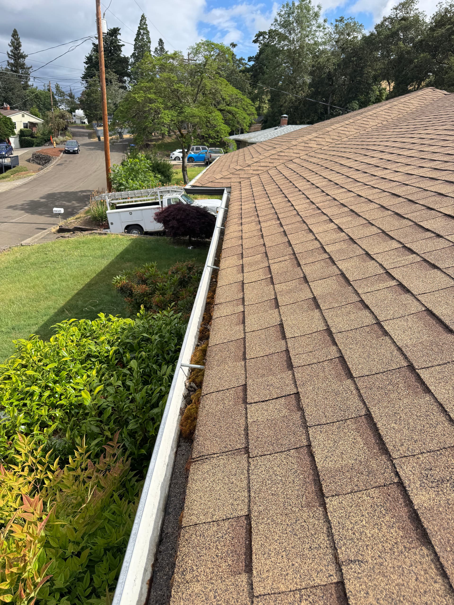 Gallery photos for Full Roof Maintenance - Moss Removal, Treatment, and Gutter Cleaning: Image #1
