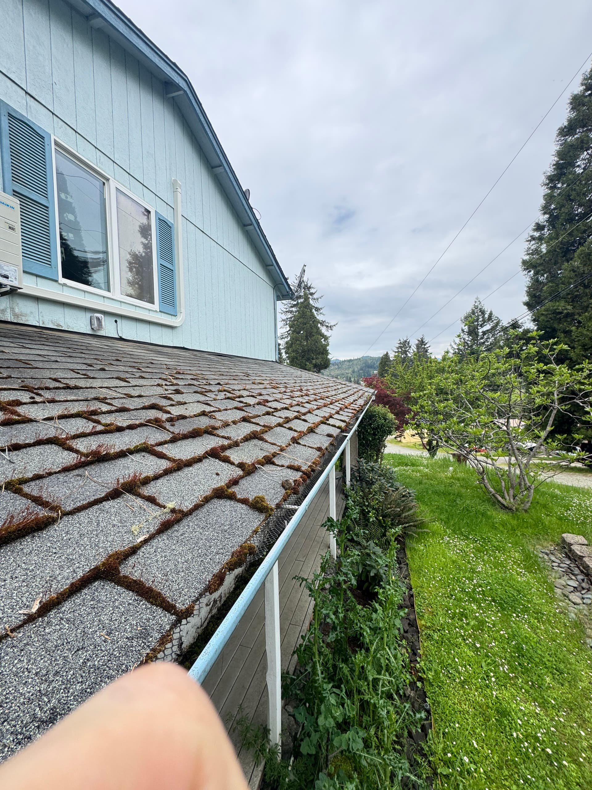 Gallery photos for Heavy Moss Takeover on a 2-Story Roof - Completely Cleared: Image #4