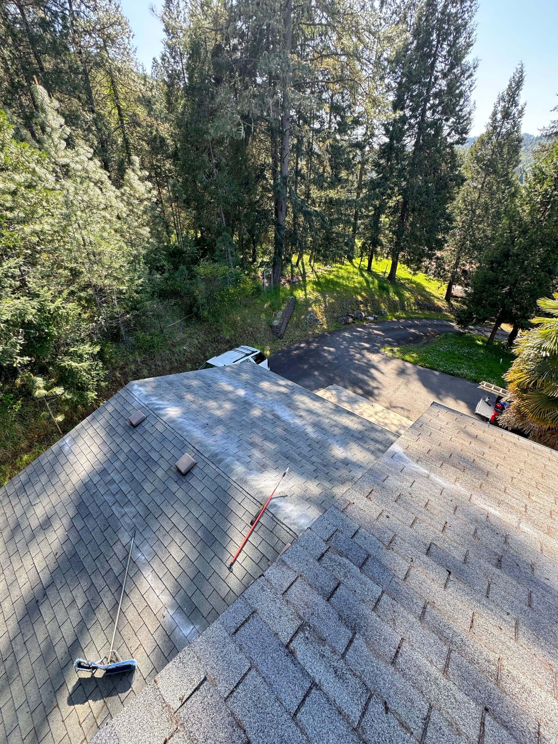 Gallery photos for Heavy Moss Takeover on a 2-Story Roof - Completely Cleared: Image #9