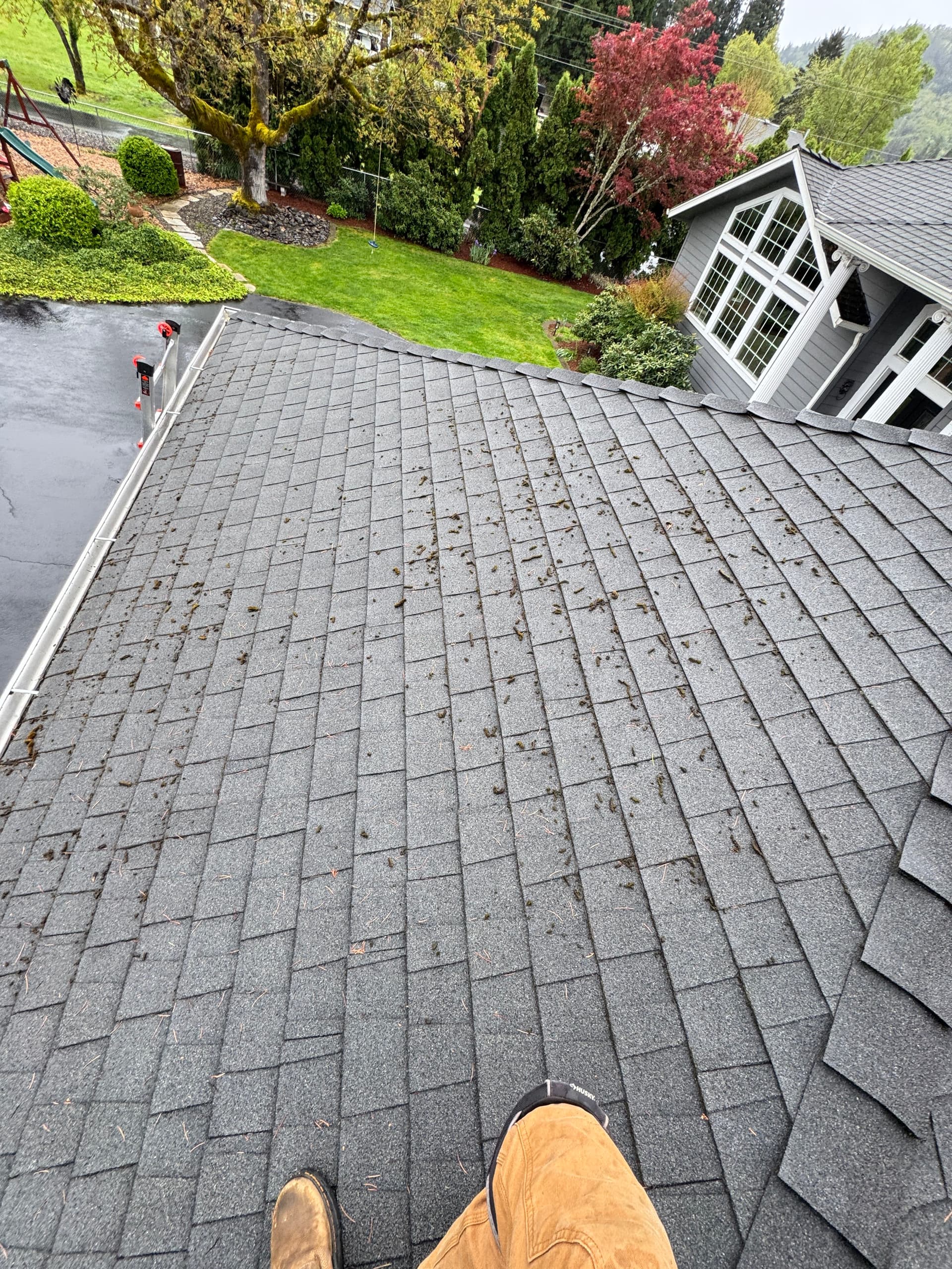 Gallery photos for Roof Moss Removal and Treatment on an Oregon Home: Image #2