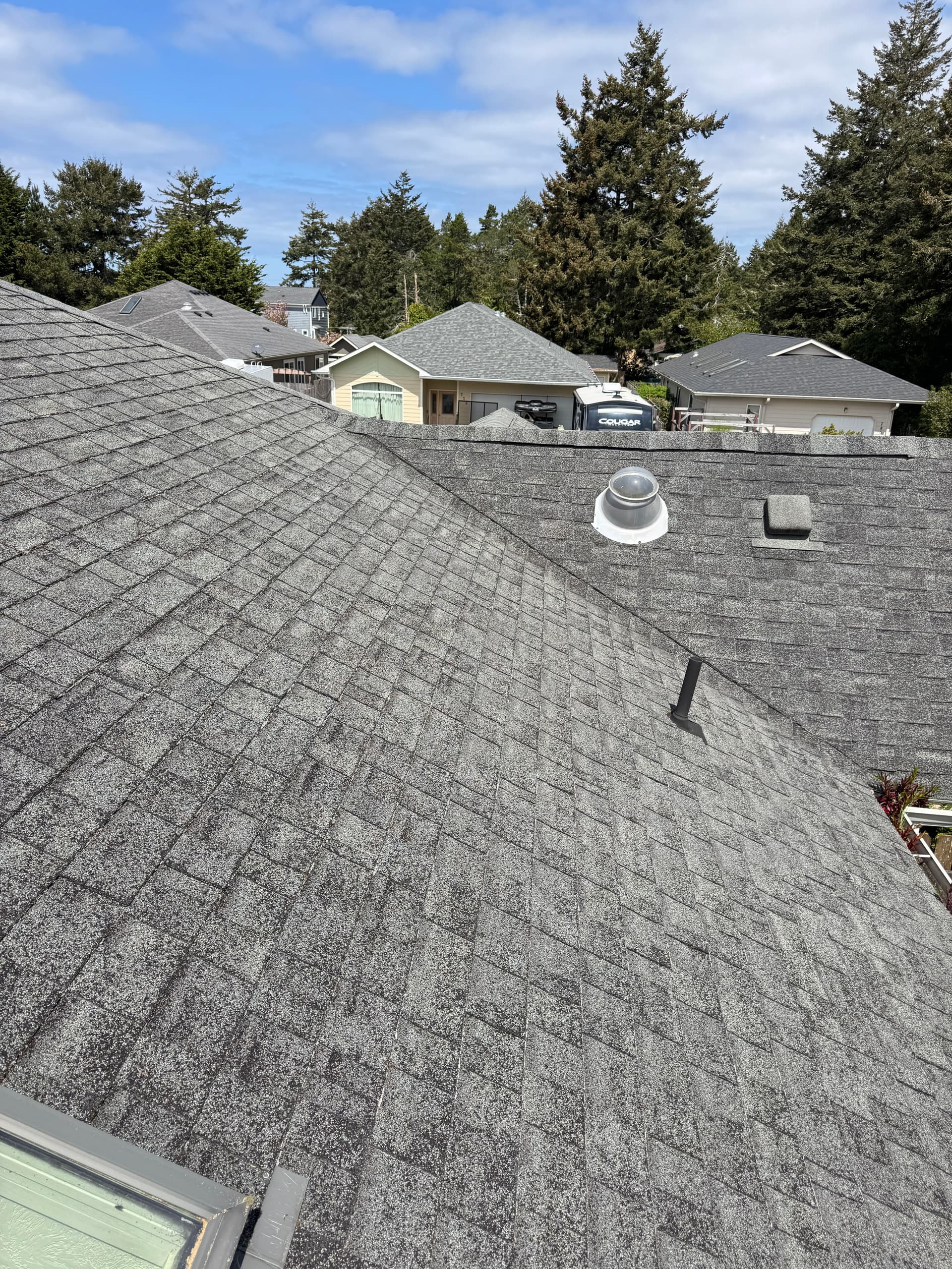 Gallery photos for Coastal Home Roof Moss Removal and Gutter Cleaning Gone Wild: Image #7