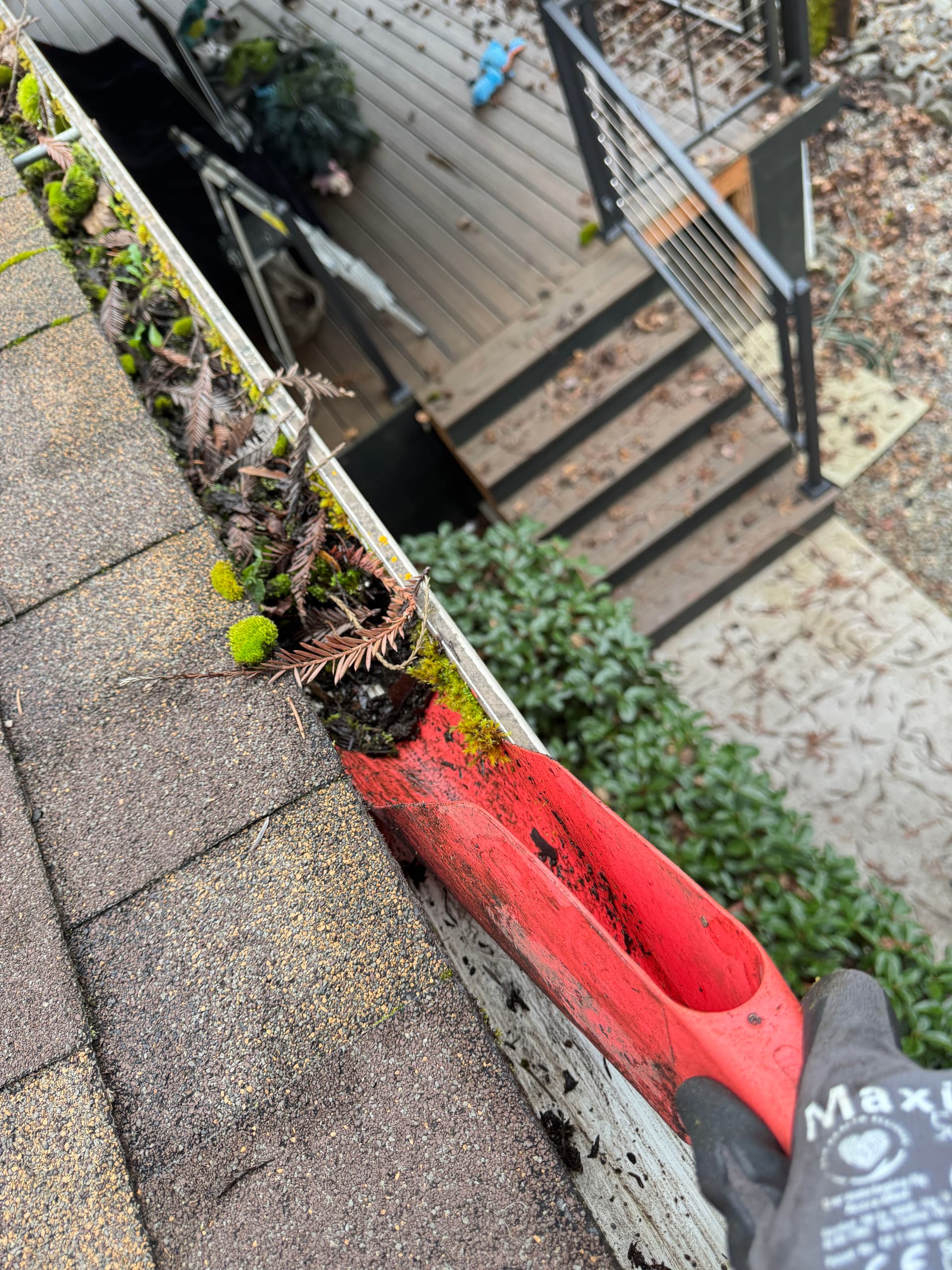 Gallery photos for Roof Moss Removal and Gutter Cleaning: Image #2