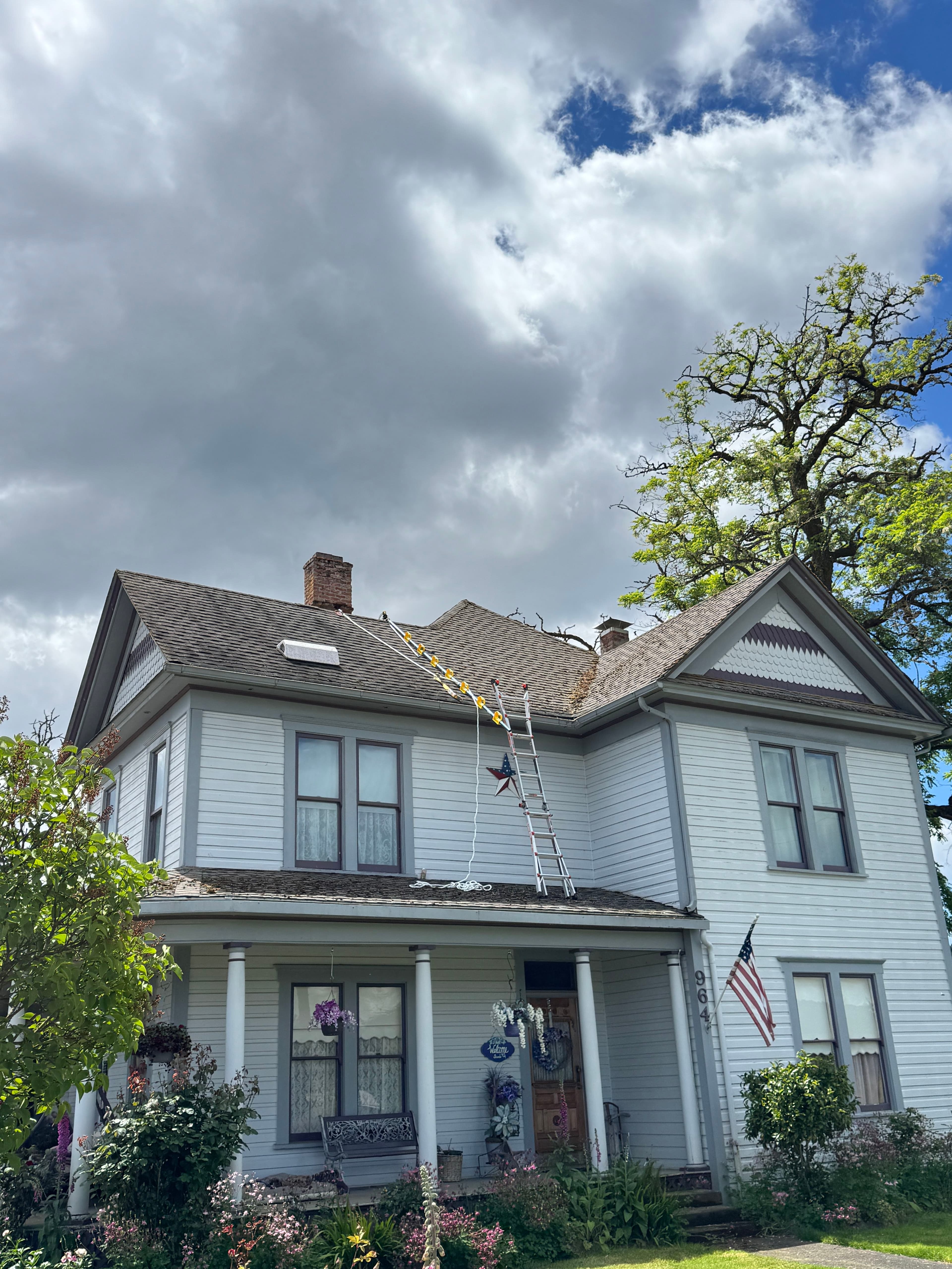 Project Moss Removal on a Steep 2-Story Home That Had Been on My Radar image