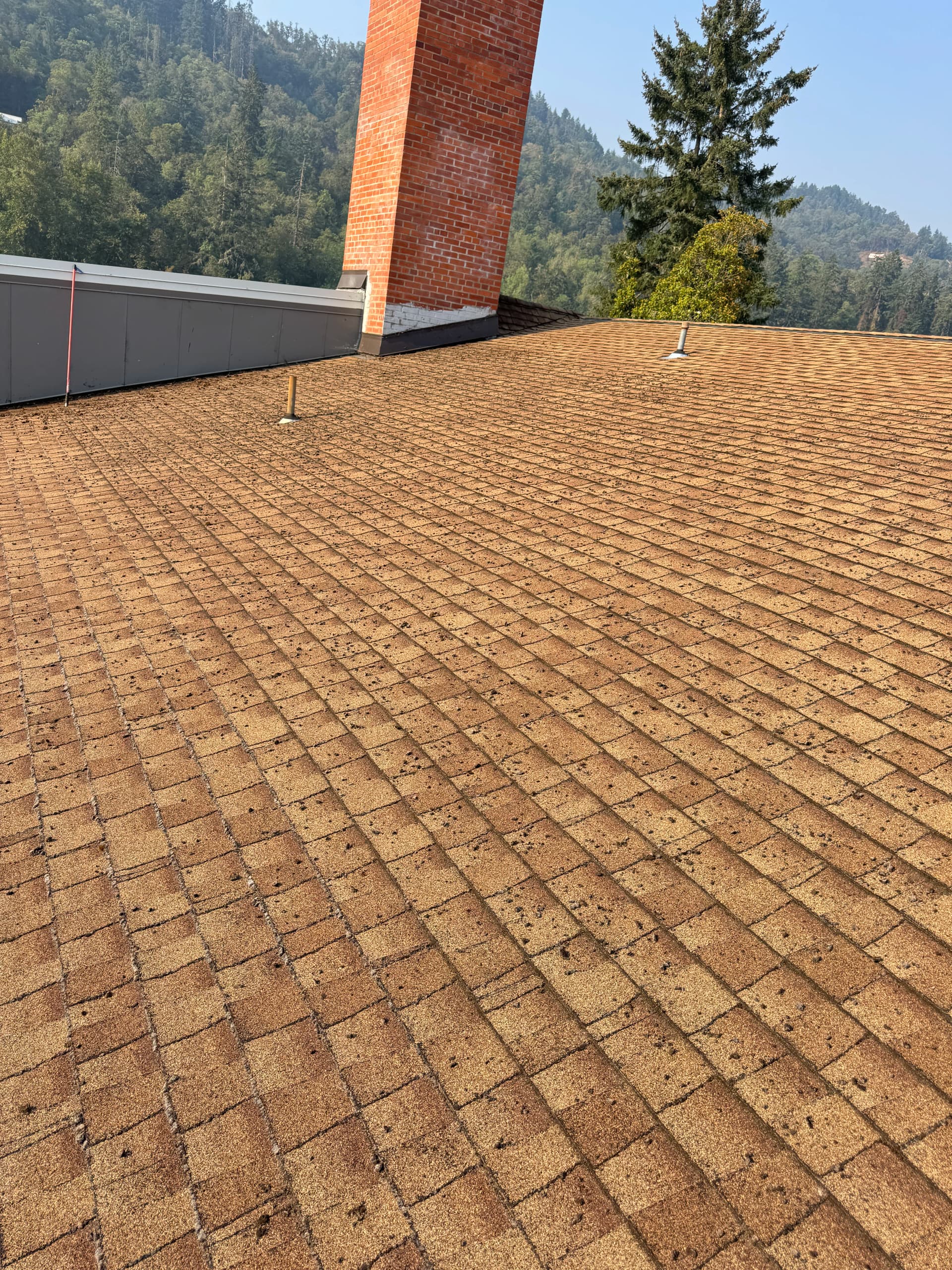 Gallery photos for Fremont Middle School Roof Moss Removal Roseburg Oregon: Image #4