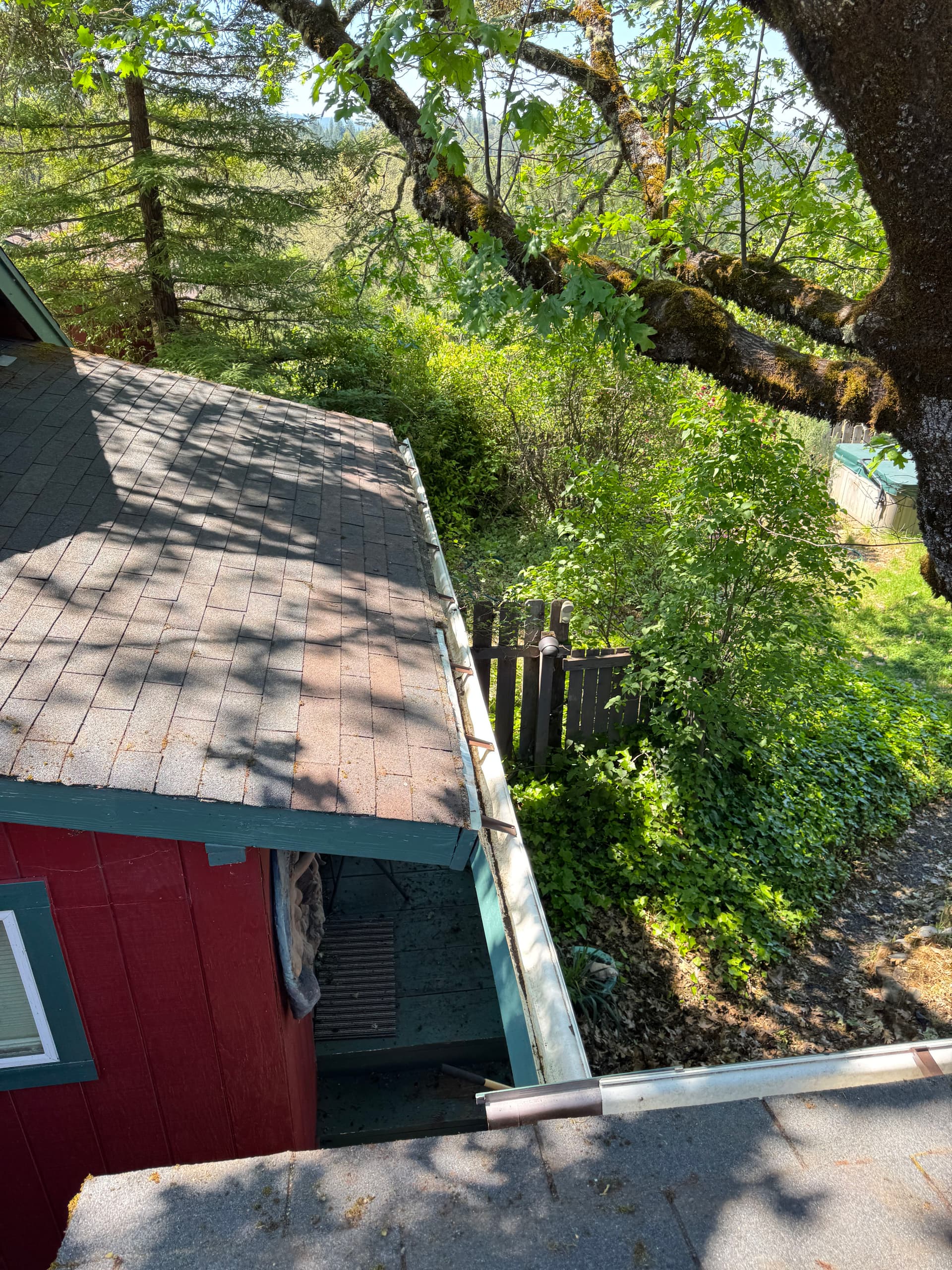 Gallery photos for Heavy Moss and Debris Removal on a Heavily Wooded Property: Image #7