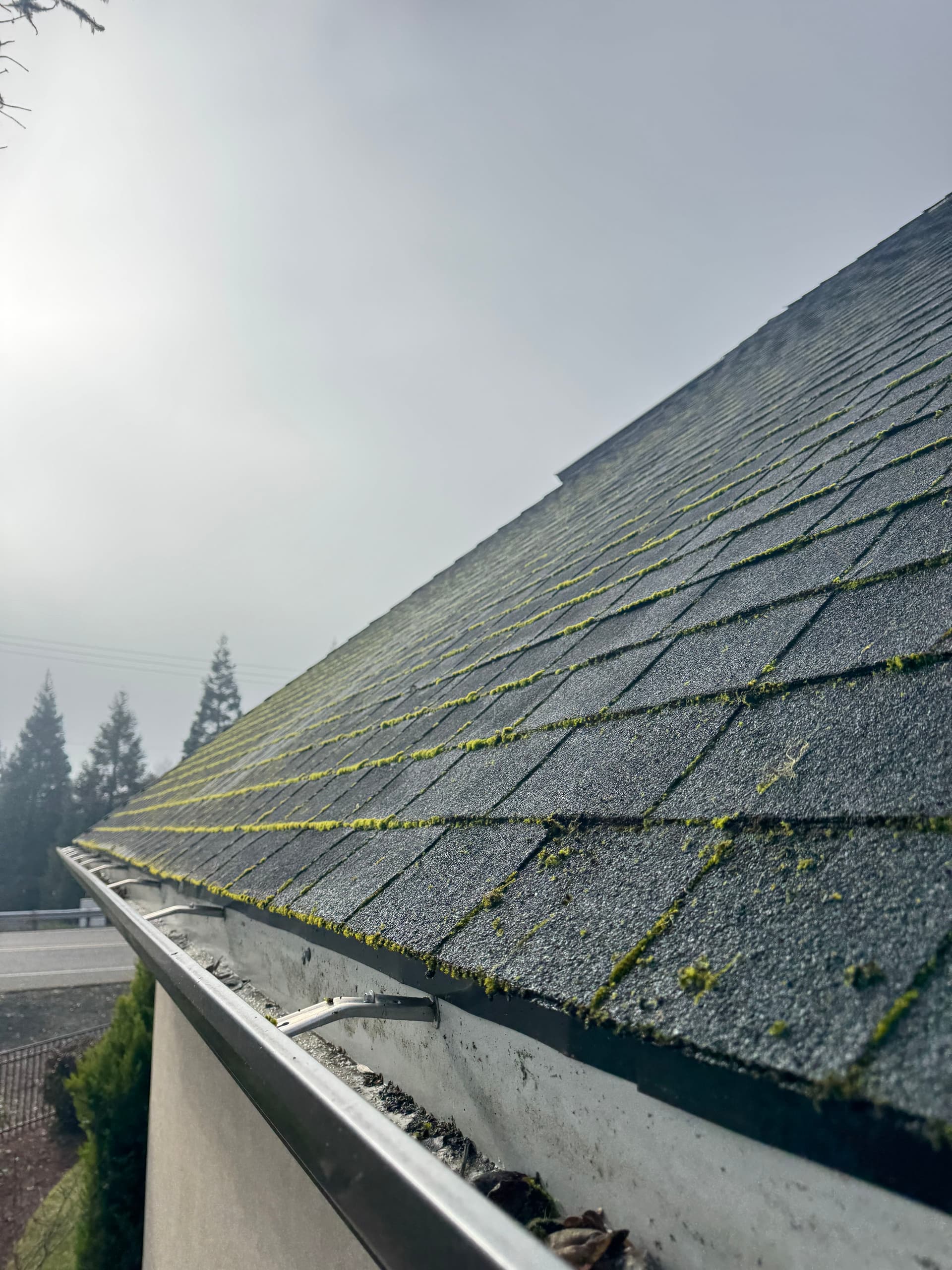 Thorough Roof and Gutter Cleaning Excellence