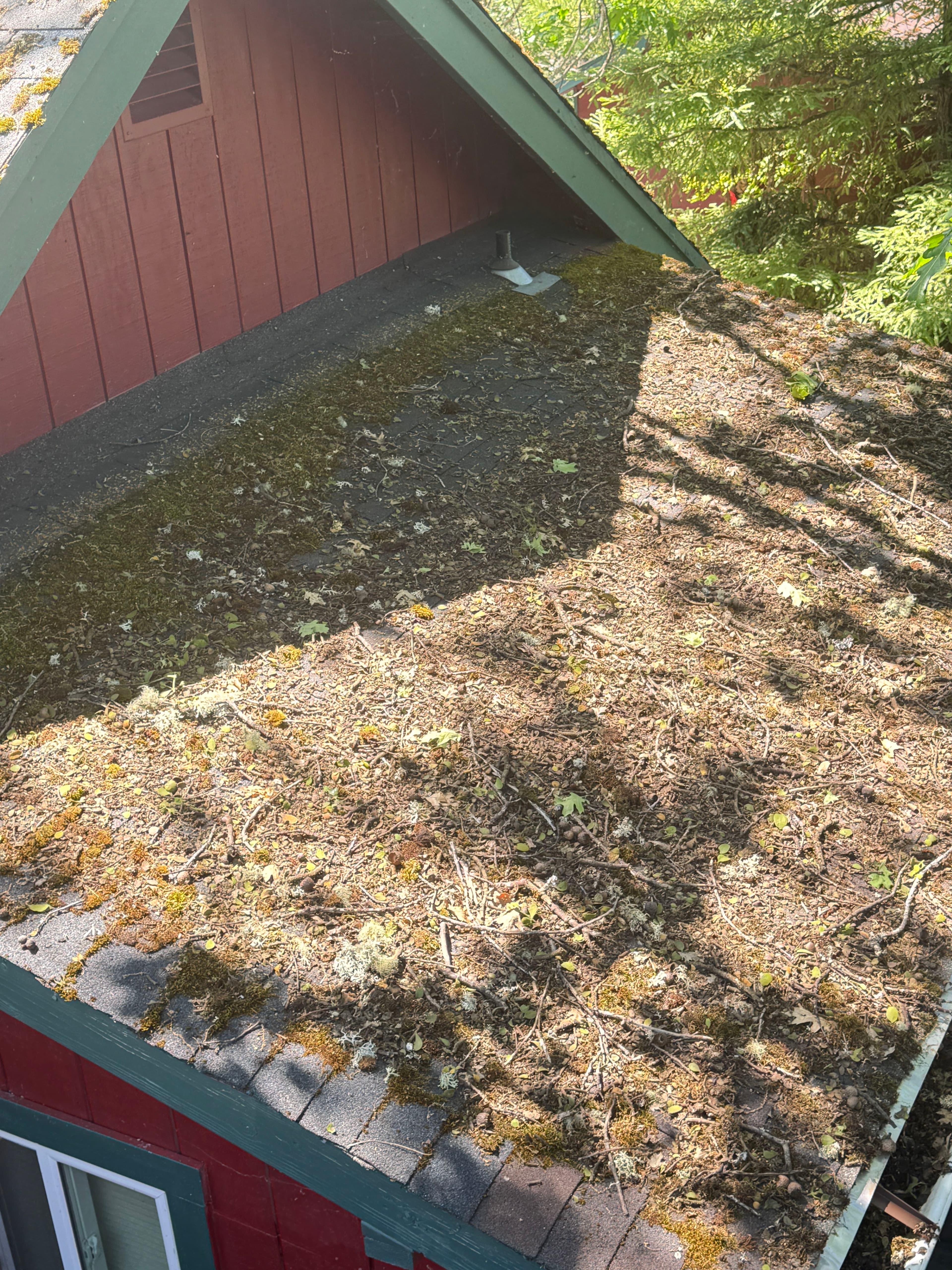 Project Heavy Moss and Debris Removal on a Heavily Wooded Property image