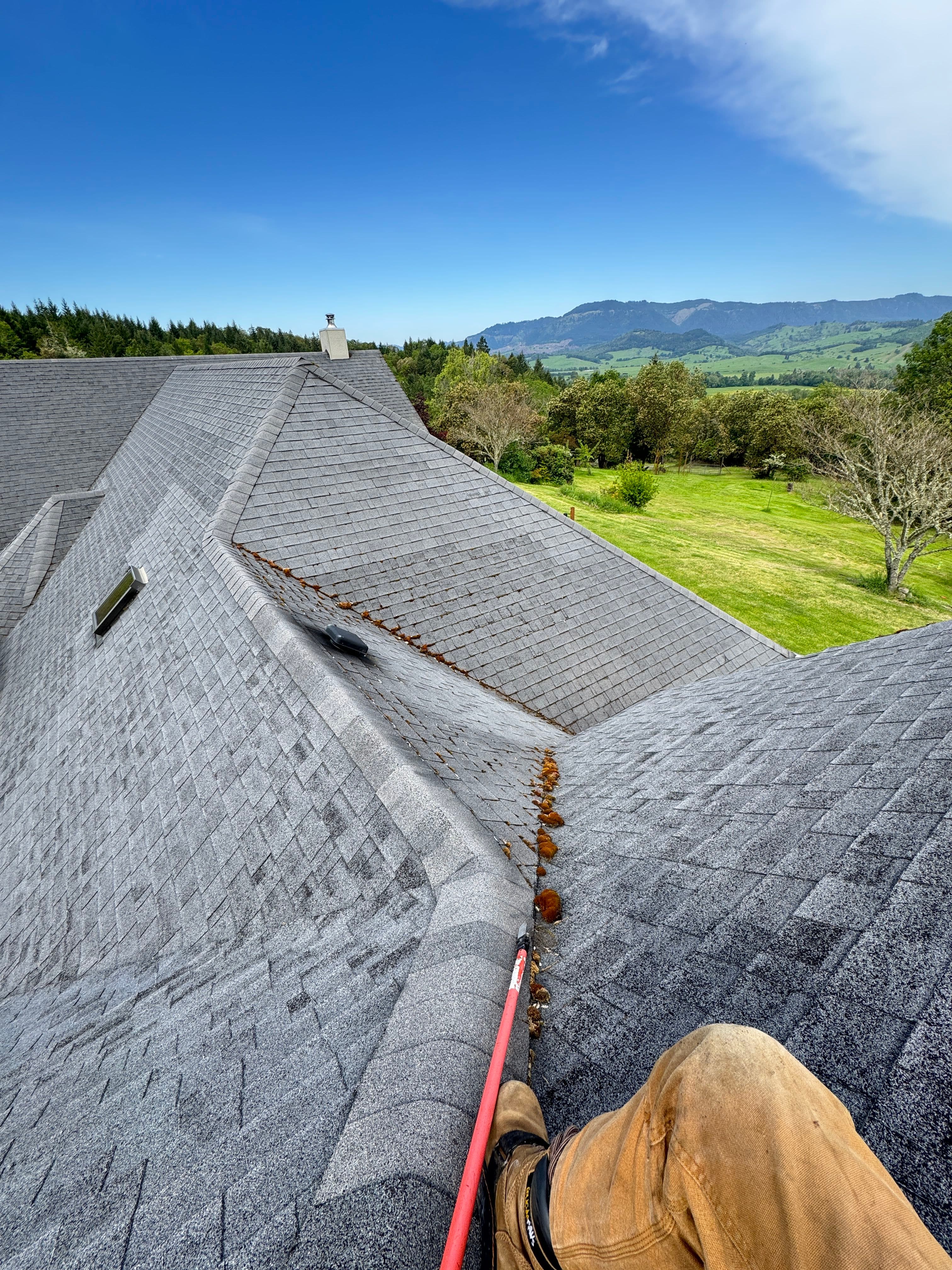 Project One of the Gnarliest Roofs We've Tackled - Full Moss Removal image