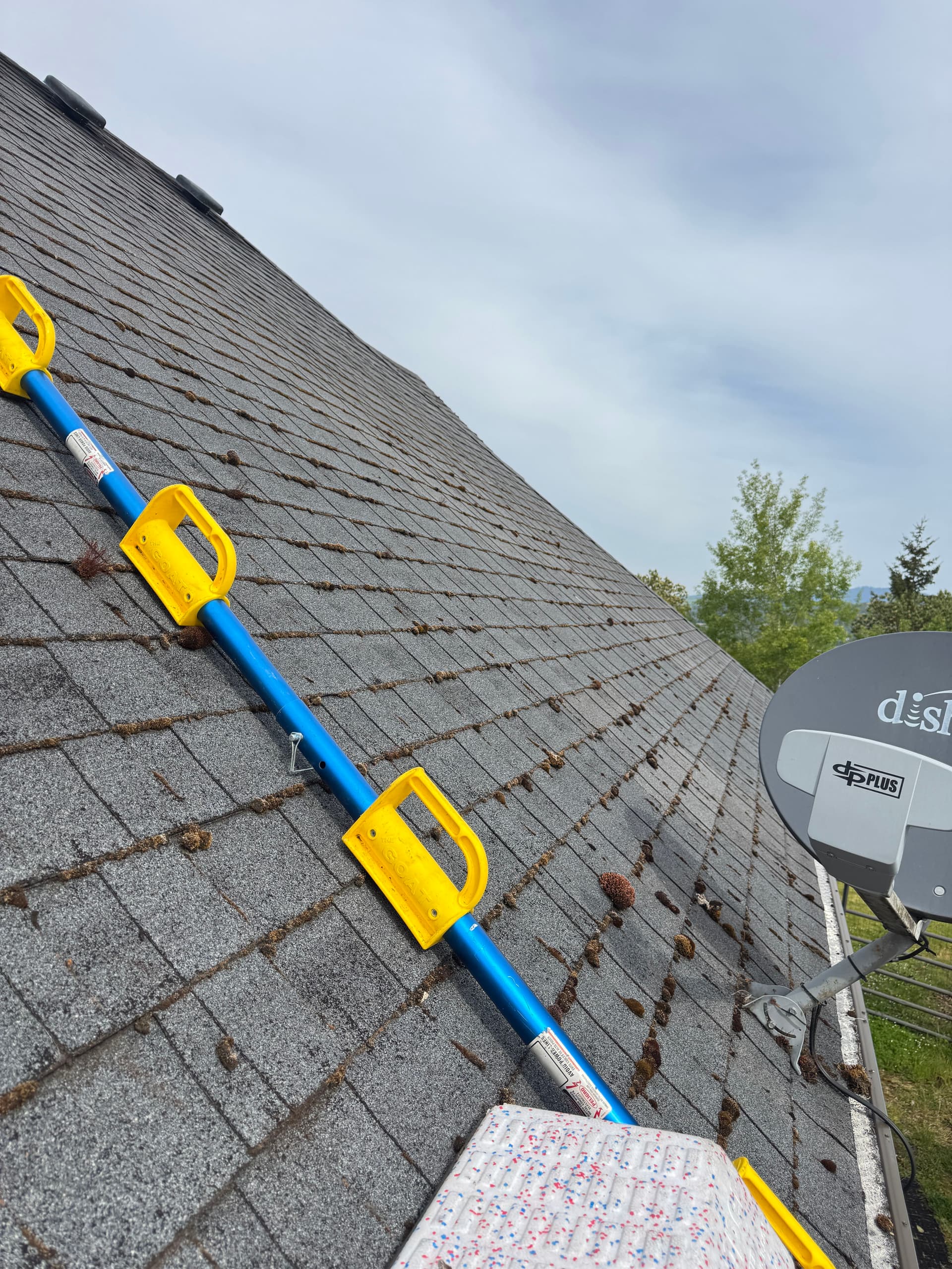 Gallery photos for One of the Gnarliest Roofs We've Tackled - Full Moss Removal: Image #3