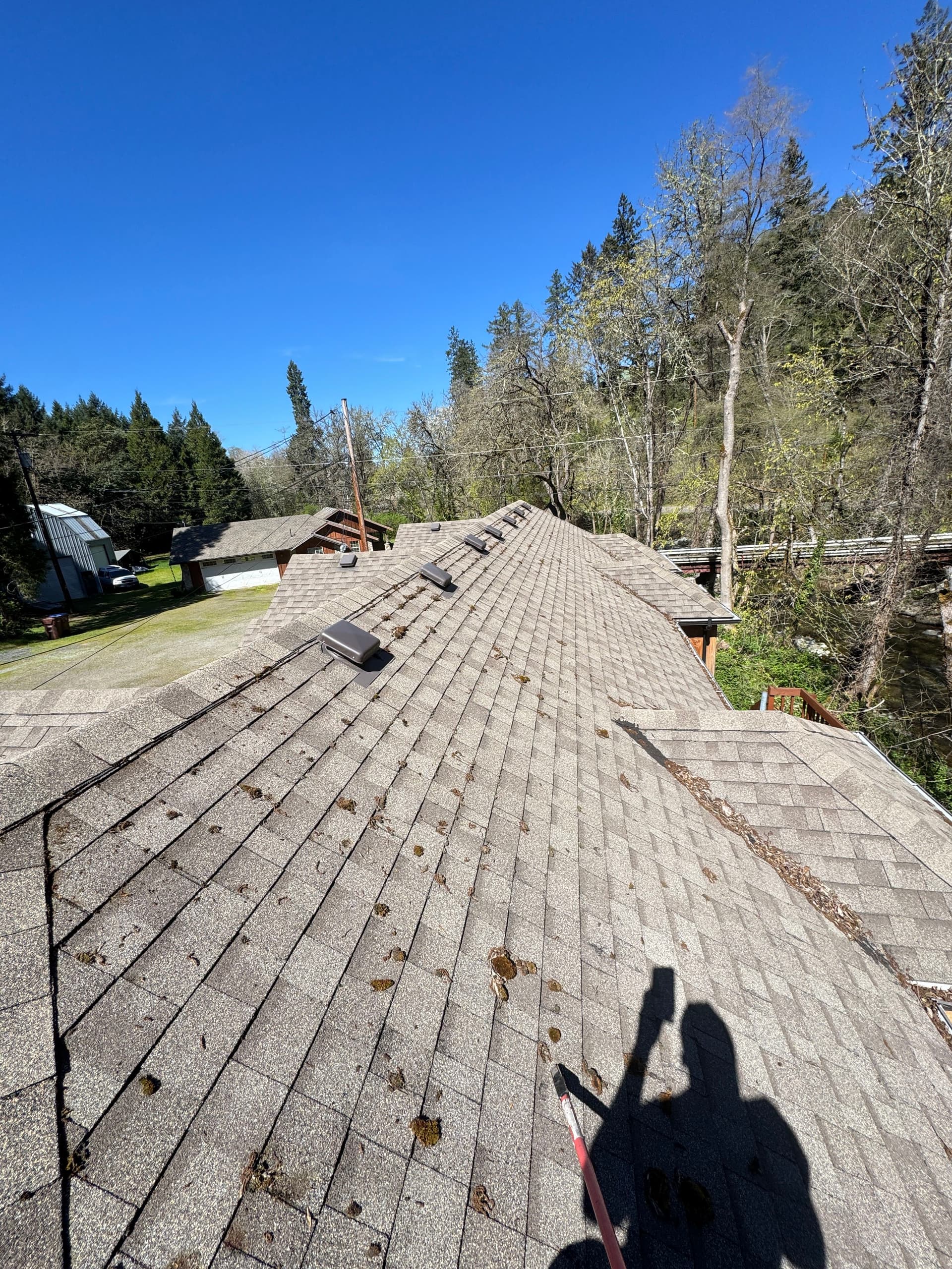 Full-Service Property Cleanup with Roof and Window Care