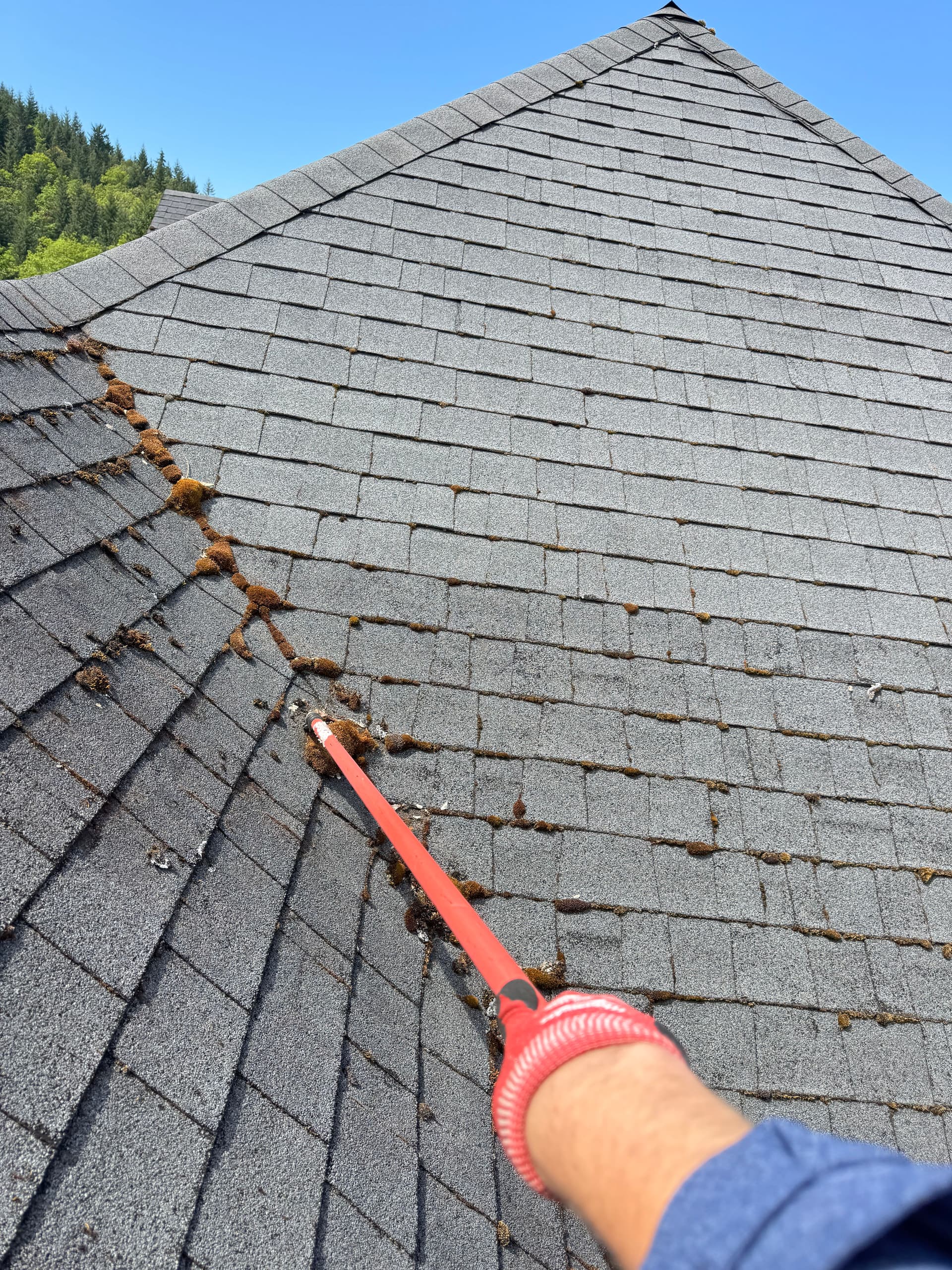 Gallery photos for One of the Gnarliest Roofs We've Tackled - Full Moss Removal: Image #4