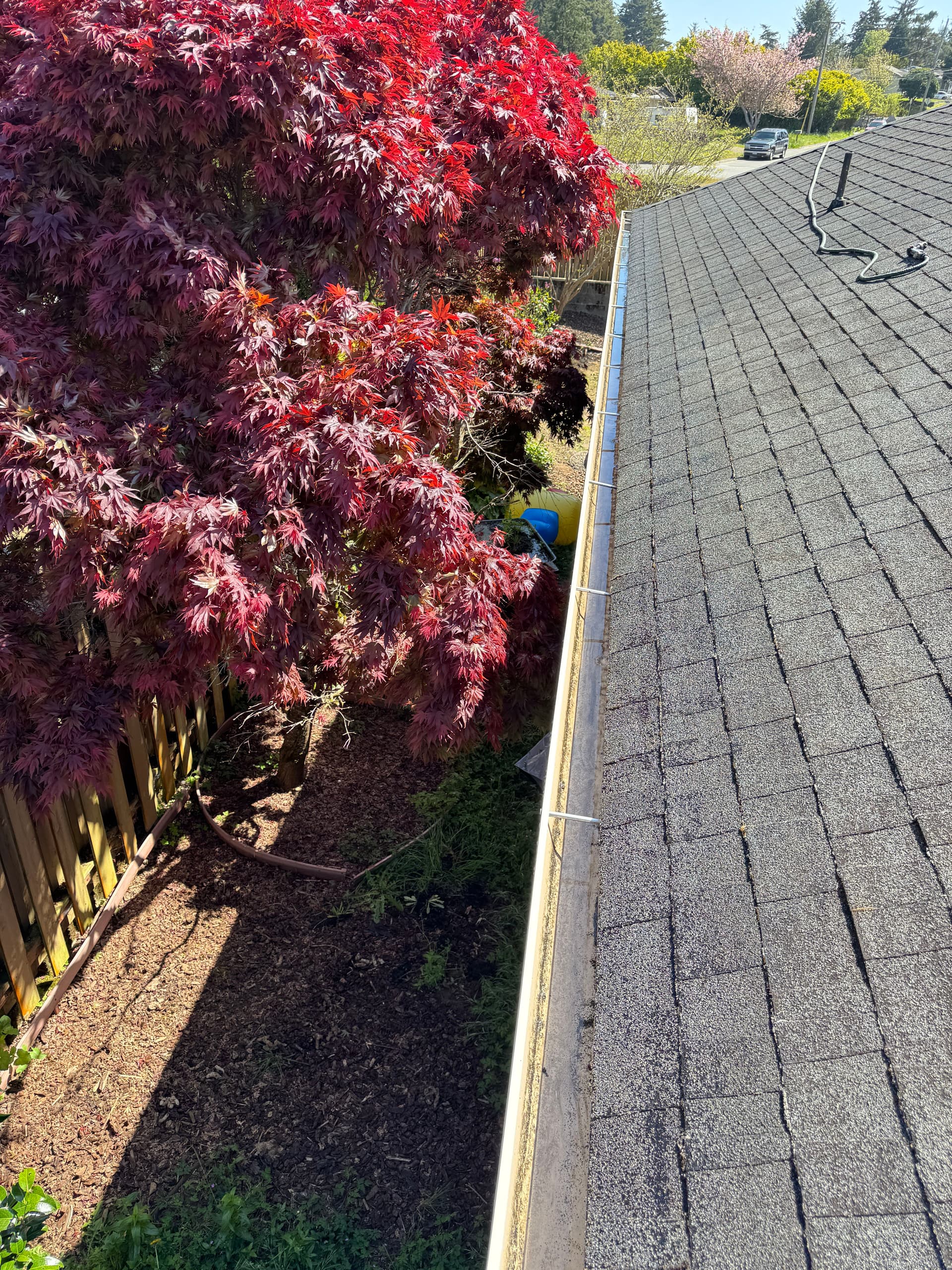 Gallery photos for Coastal Home Roof Moss Removal and Gutter Cleaning Gone Wild: Image #6