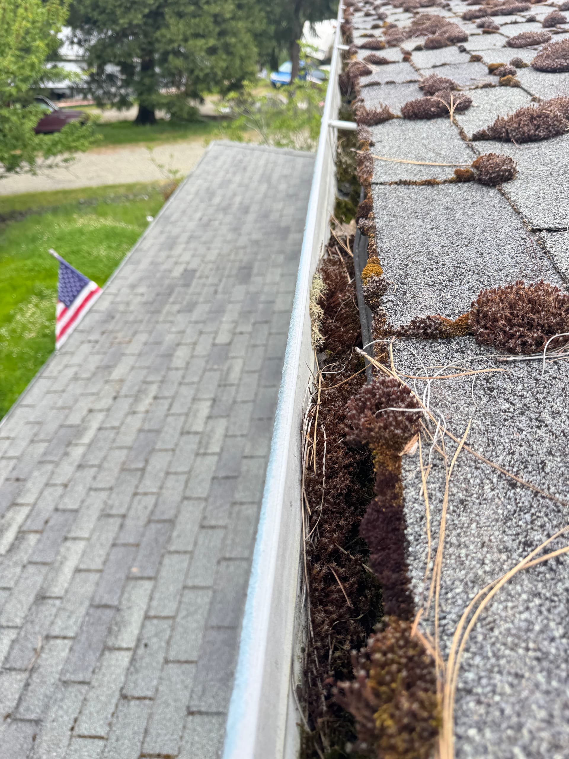 Gallery photos for Heavy Moss Takeover on a 2-Story Roof - Completely Cleared: Image #3