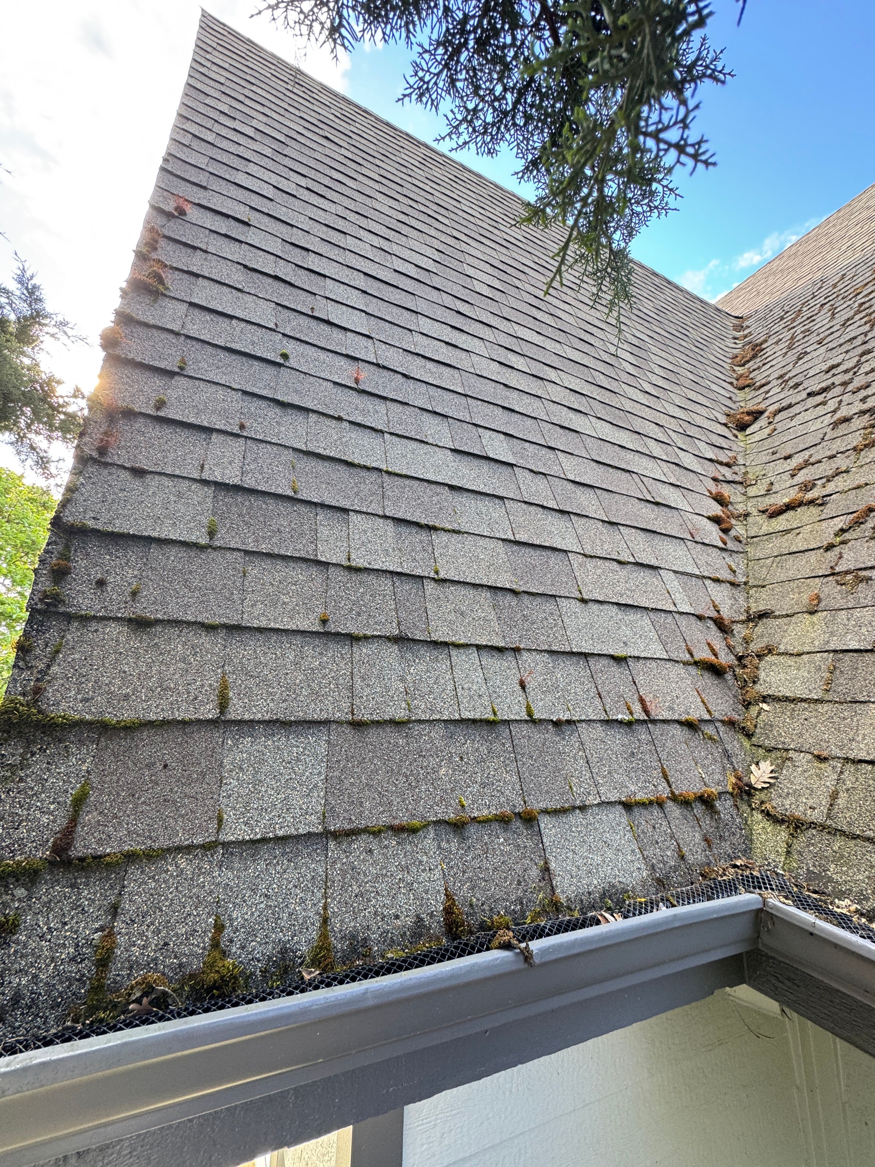 Project Steep A-Frame Roof Moss Removal on a 12/12 Pitch image