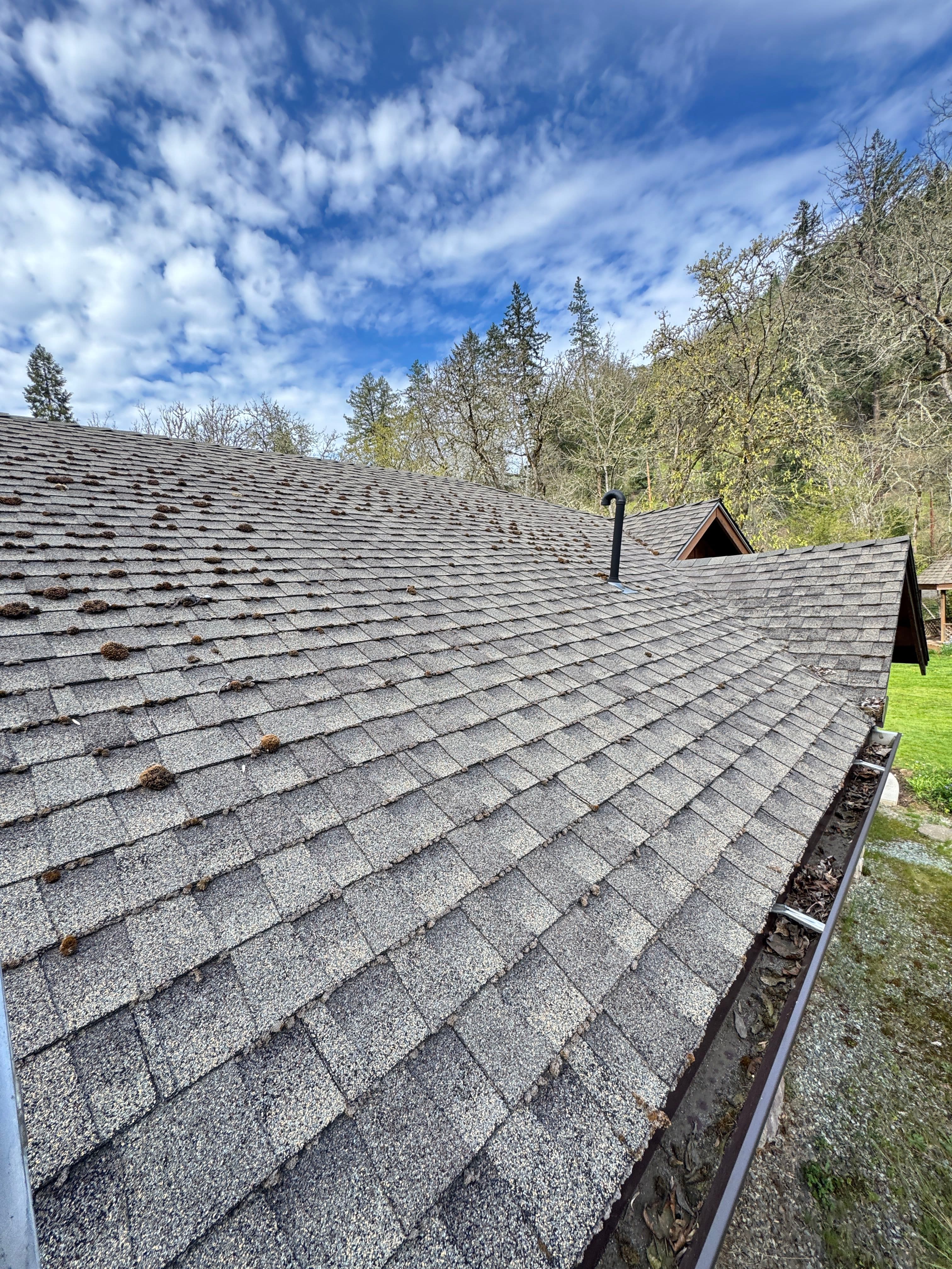 Project Expert Roof and Gutter Care Done Right image