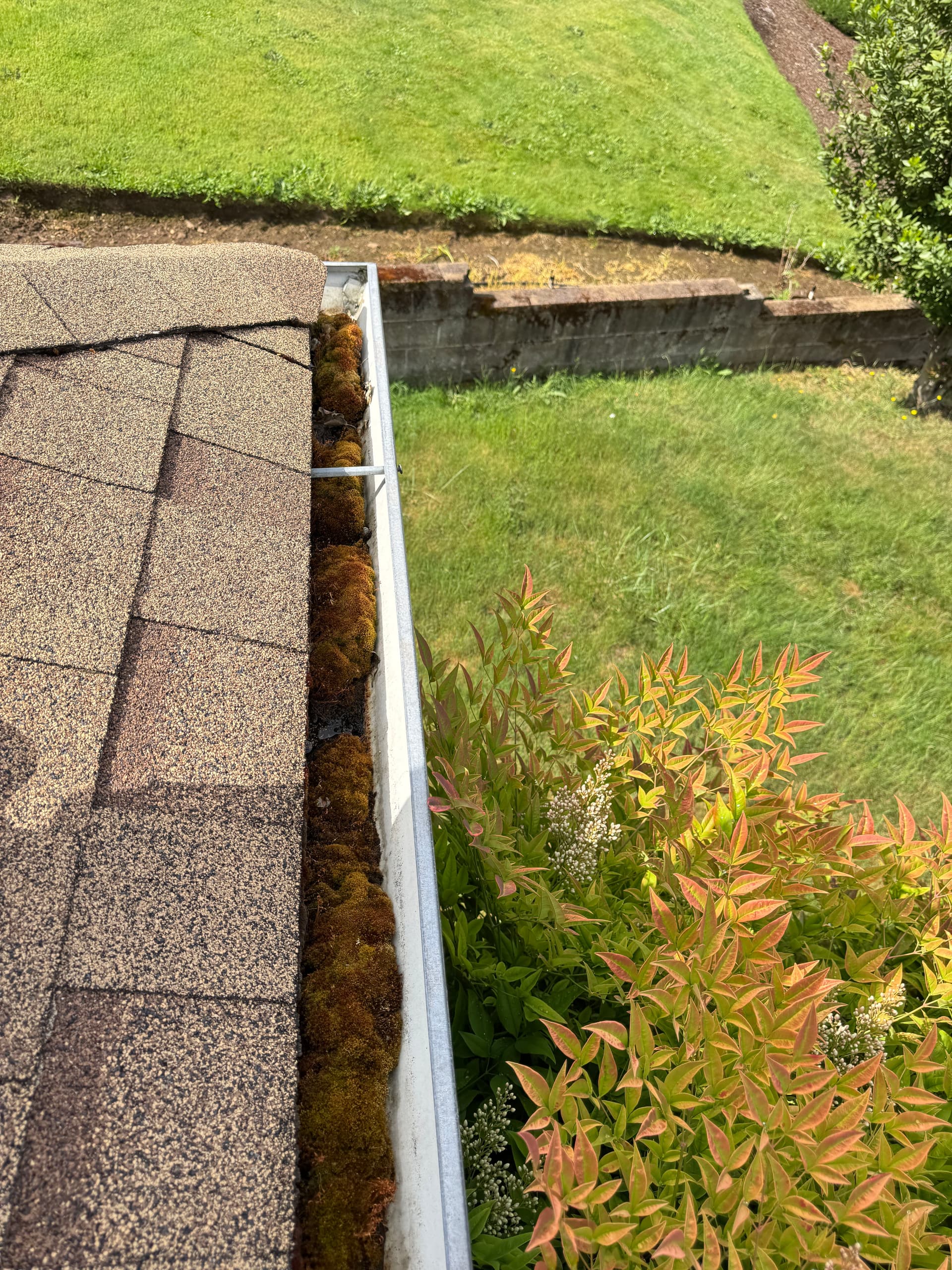 Gallery photos for Full Roof Maintenance - Moss Removal, Treatment, and Gutter Cleaning: Image #2