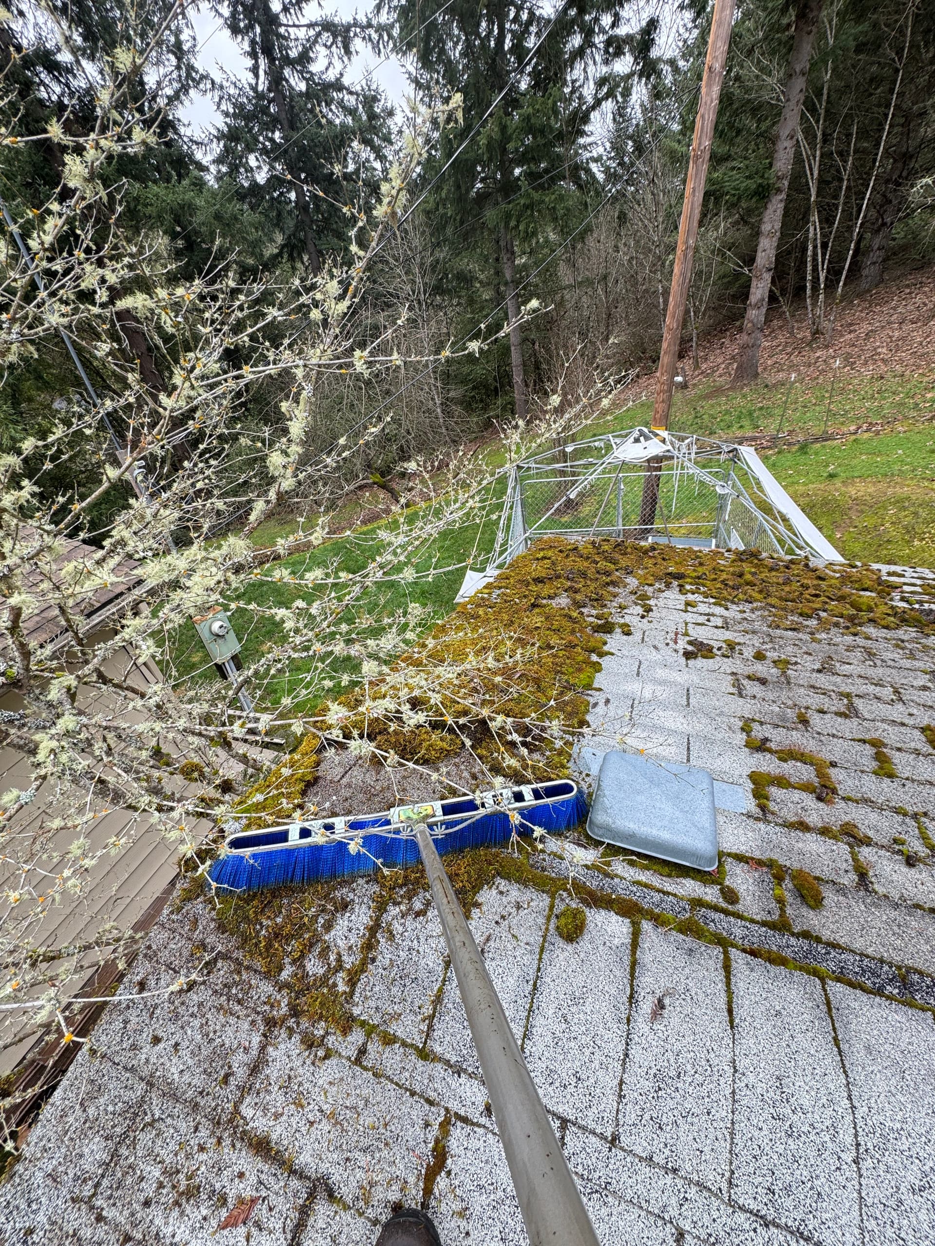 Gallery photos for Roof Moss Removal and Gutter Cleaning: Image #1