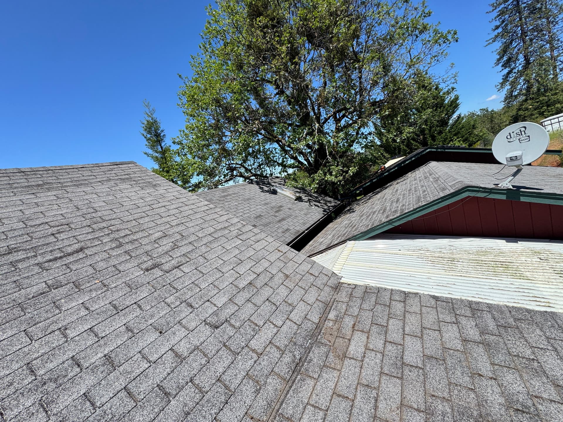Gallery photos for Heavy Moss and Debris Removal on a Heavily Wooded Property: Image #6