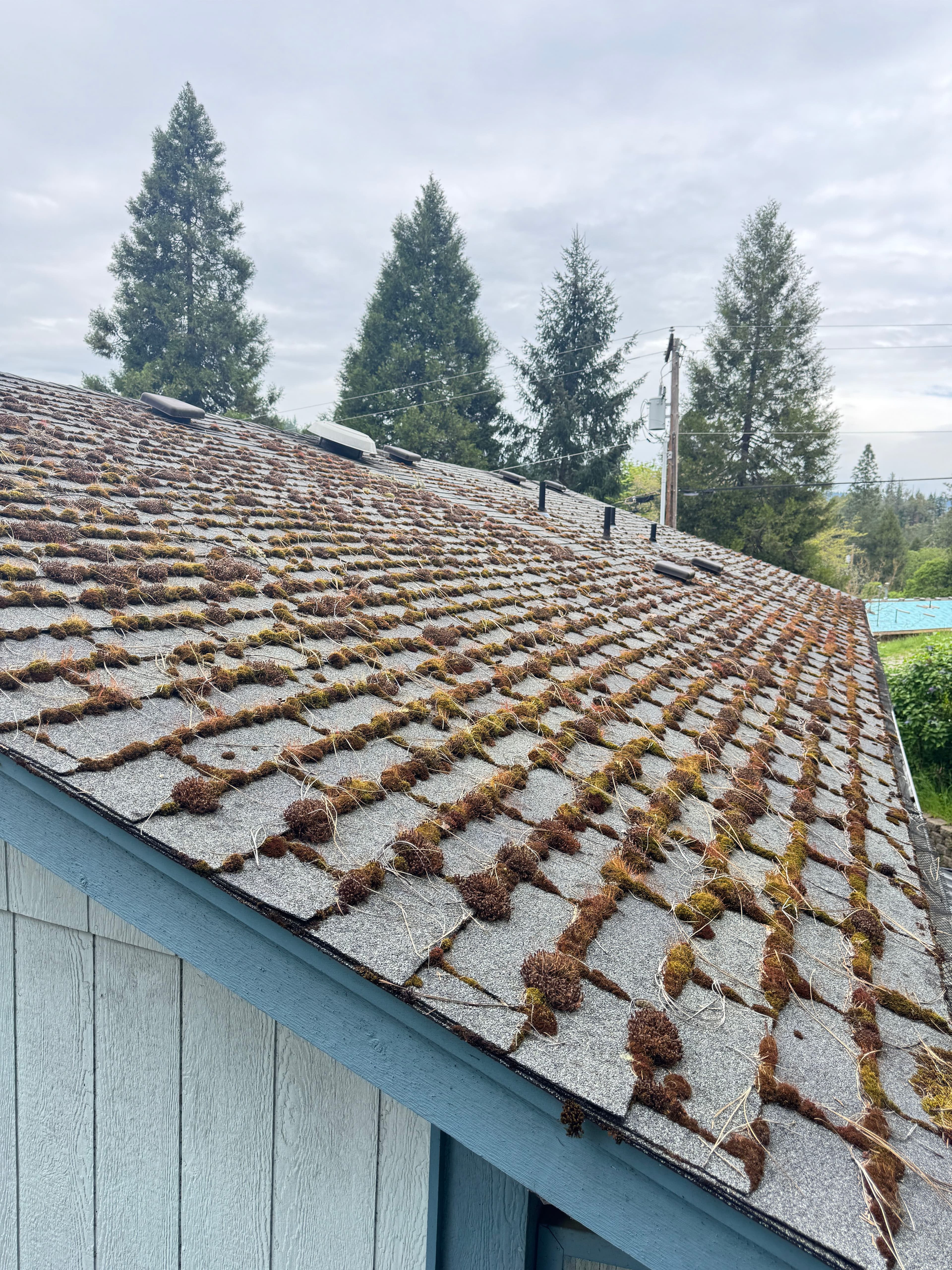 Project Heavy Moss Takeover on a 2-Story Roof - Completely Cleared image