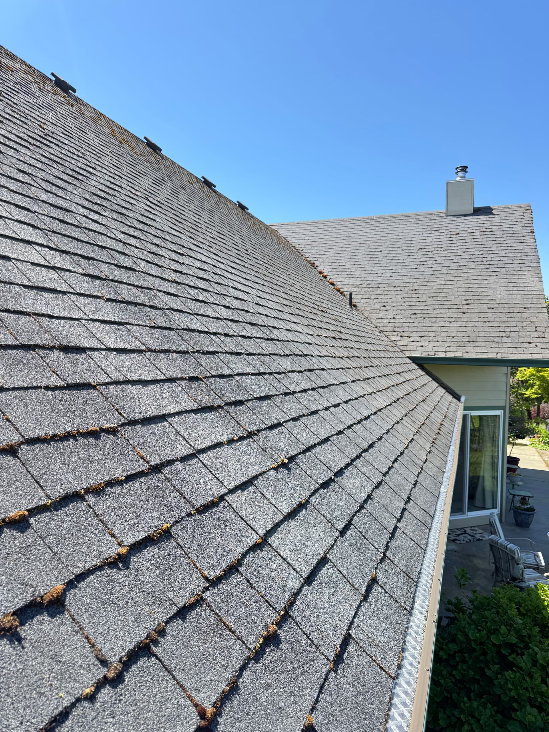 Gallery photos for One of the Gnarliest Roofs We've Tackled - Full Moss Removal: Image #2