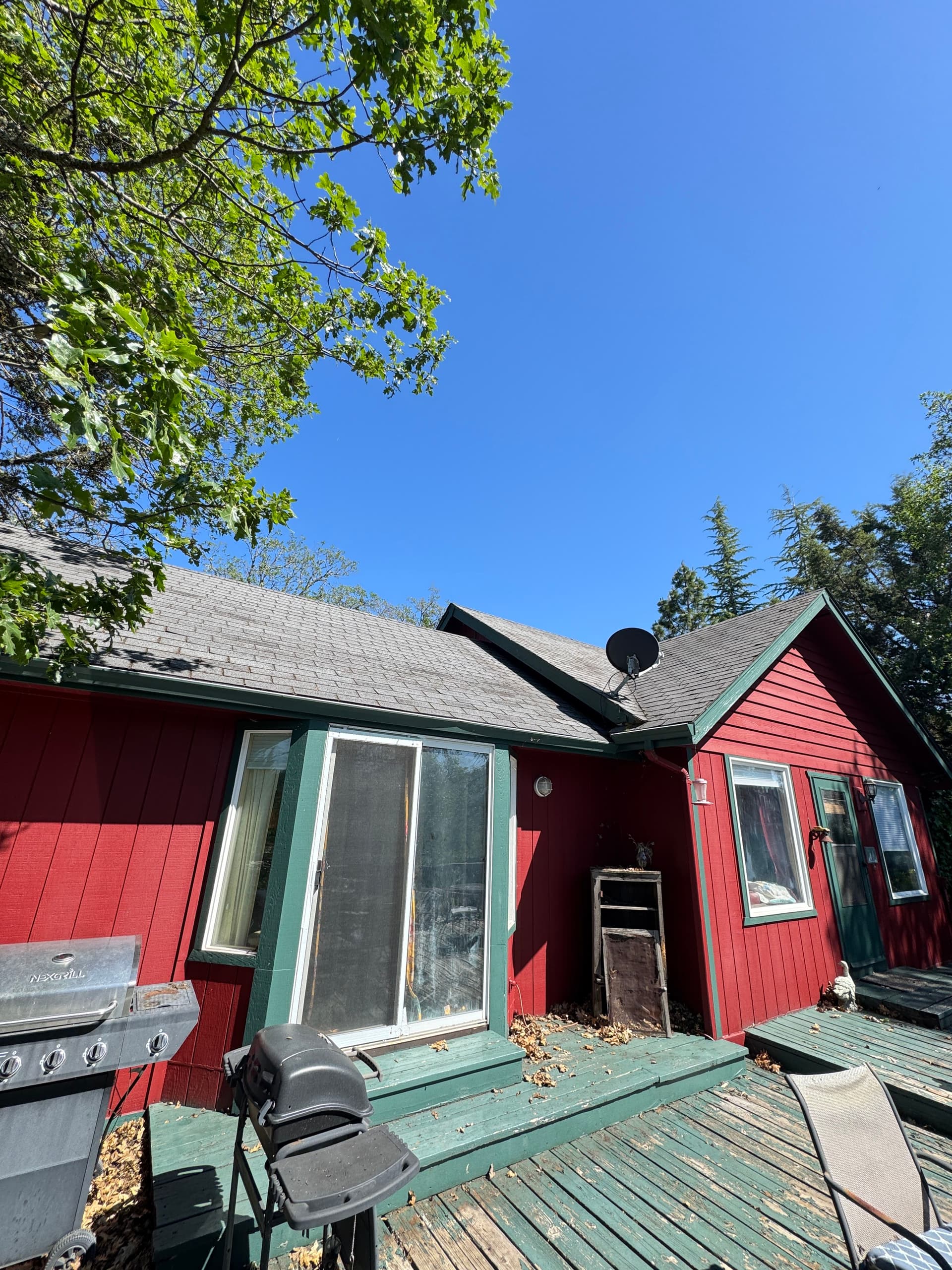 Gallery photos for Heavy Moss and Debris Removal on a Heavily Wooded Property: Image #8
